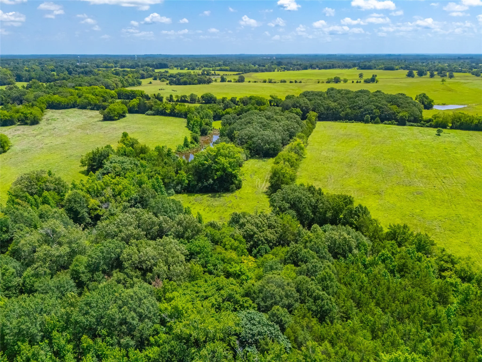 Ranch For Sale in Morris County , 0 County Road 3311, Omaha, Texas 75571, 0, 0, Garage spaces, 0 Sqft, built in 0, Price $495,000, mls#21046364, Real Estate Agent in Omaha, Homes For Sale in Morris county, Homes For Sale in Omaha, Realtor in Omaha Texas, Real Estate Brokerage Independent Realty Texas, Luminita Cordes Realtor