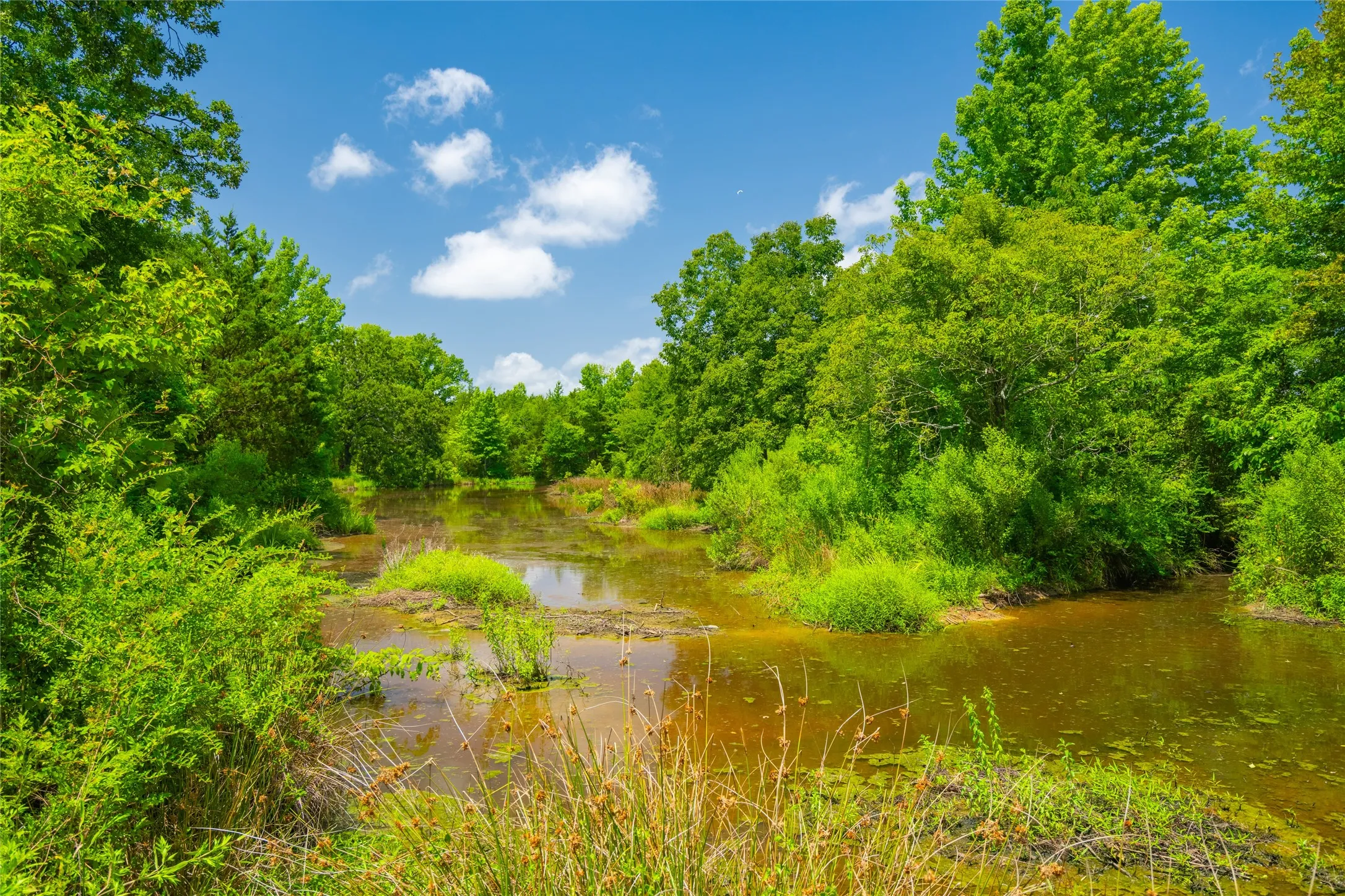 Ranch For Sale in Morris County , 0 County Road 3311, Omaha, Texas 75571, 0, 0, Garage spaces, 0 Sqft, built in 0, Price $495,000, mls#21046364, Real Estate Agent in Omaha, Homes For Sale in Morris county, Homes For Sale in Omaha, Realtor in Omaha Texas, Real Estate Brokerage Independent Realty Texas, Luminita Cordes Realtor