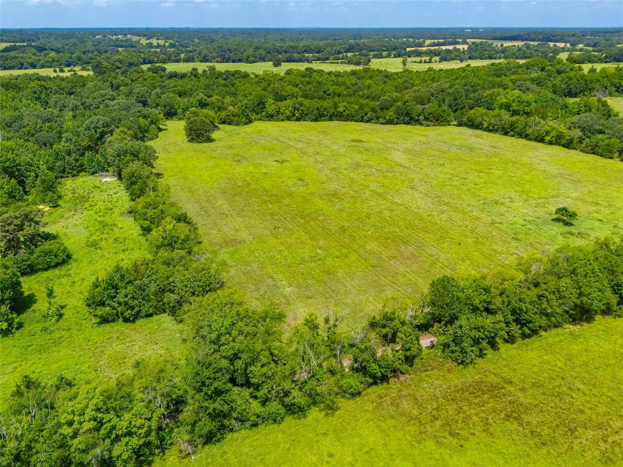 Ranch For Sale in Morris County , 0 County Road 3311, Omaha, Texas 75571, 0, 0, Garage spaces, 0 Sqft, built in 0, Price $495,000, mls#21046364, Real Estate Agent in Omaha, Homes For Sale in Morris county, Homes For Sale in Omaha, Realtor in Omaha Texas, Real Estate Brokerage Independent Realty Texas, Luminita Cordes Realtor