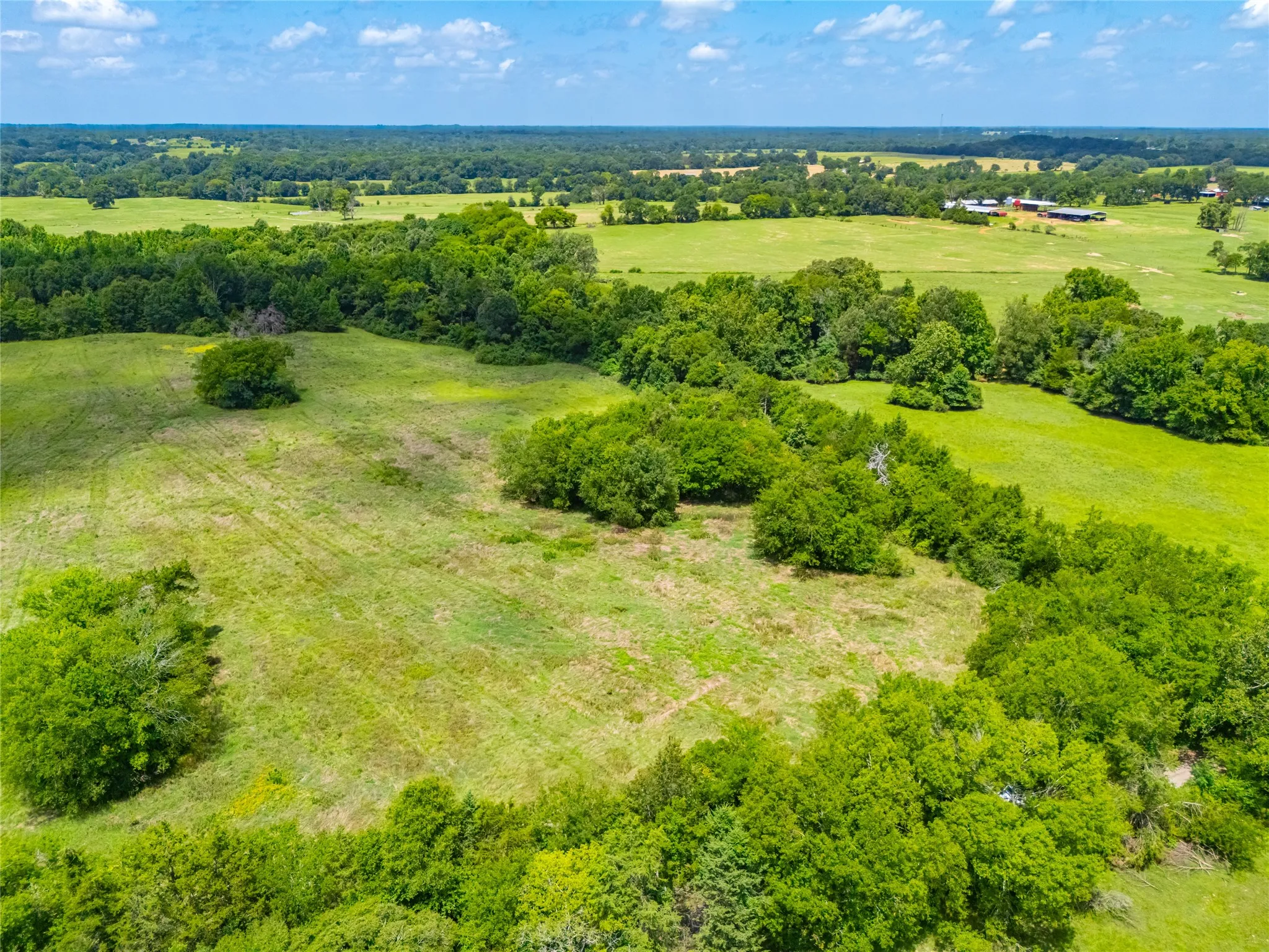 Ranch For Sale in Morris County , 0 County Road 3311, Omaha, Texas 75571, 0, 0, Garage spaces, 0 Sqft, built in 0, Price $495,000, mls#21046364, Real Estate Agent in Omaha, Homes For Sale in Morris county, Homes For Sale in Omaha, Realtor in Omaha Texas, Real Estate Brokerage Independent Realty Texas, Luminita Cordes Realtor