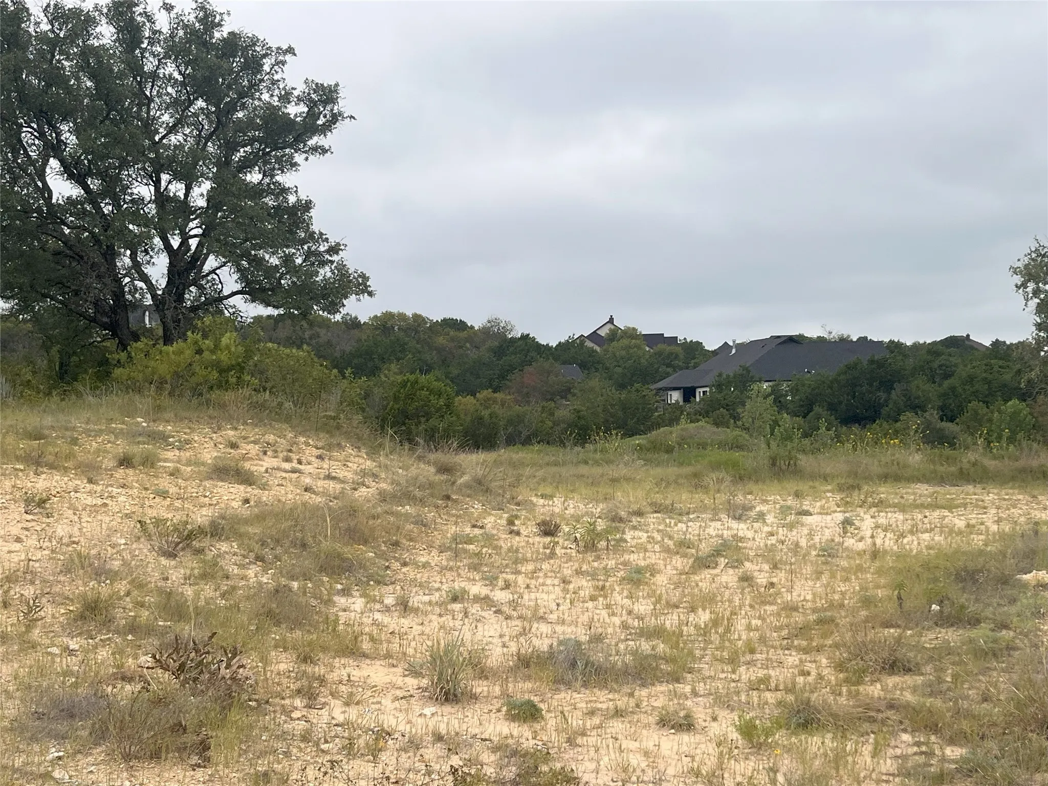 View of undeveloped land