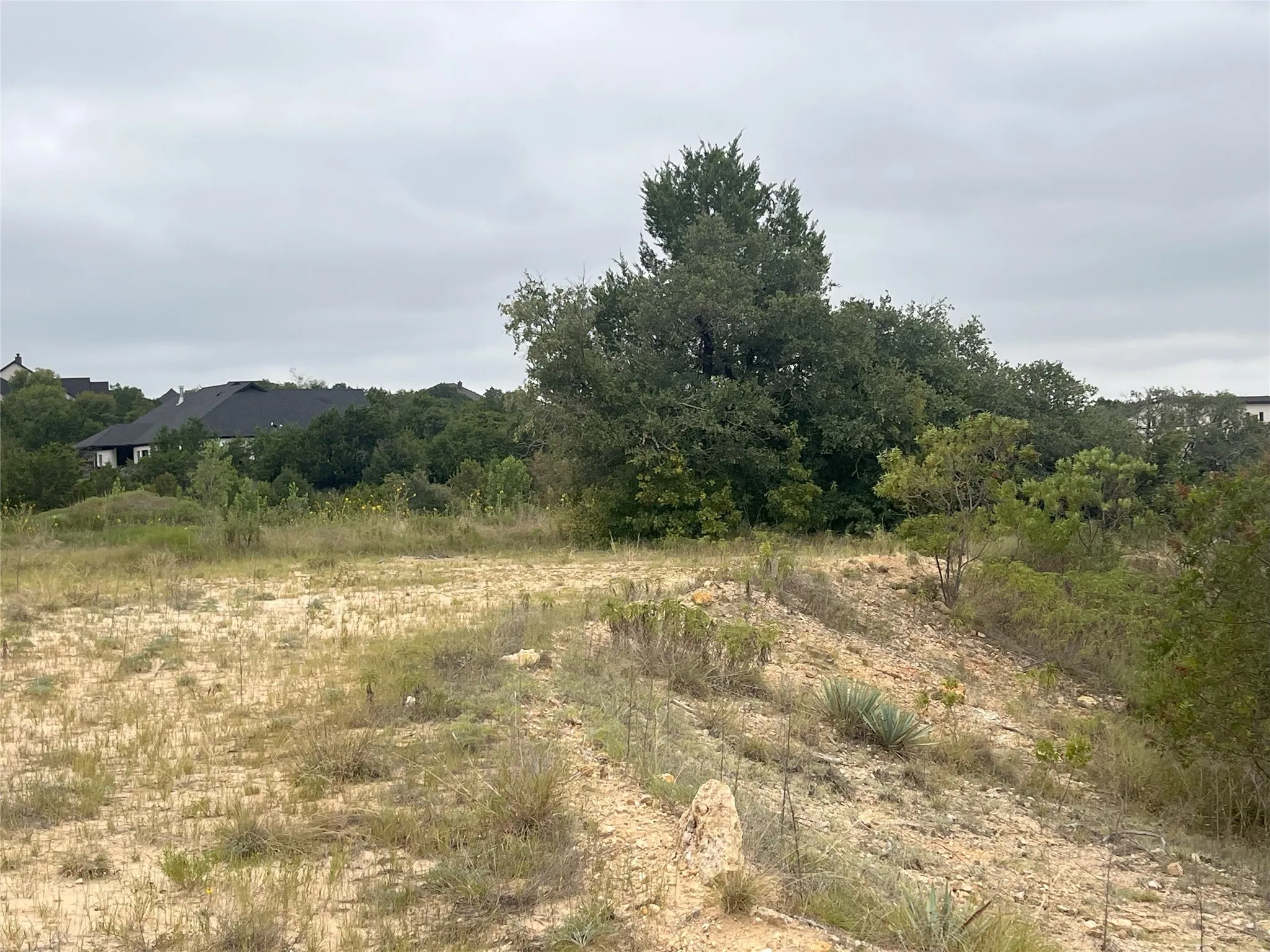 View of local wilderness