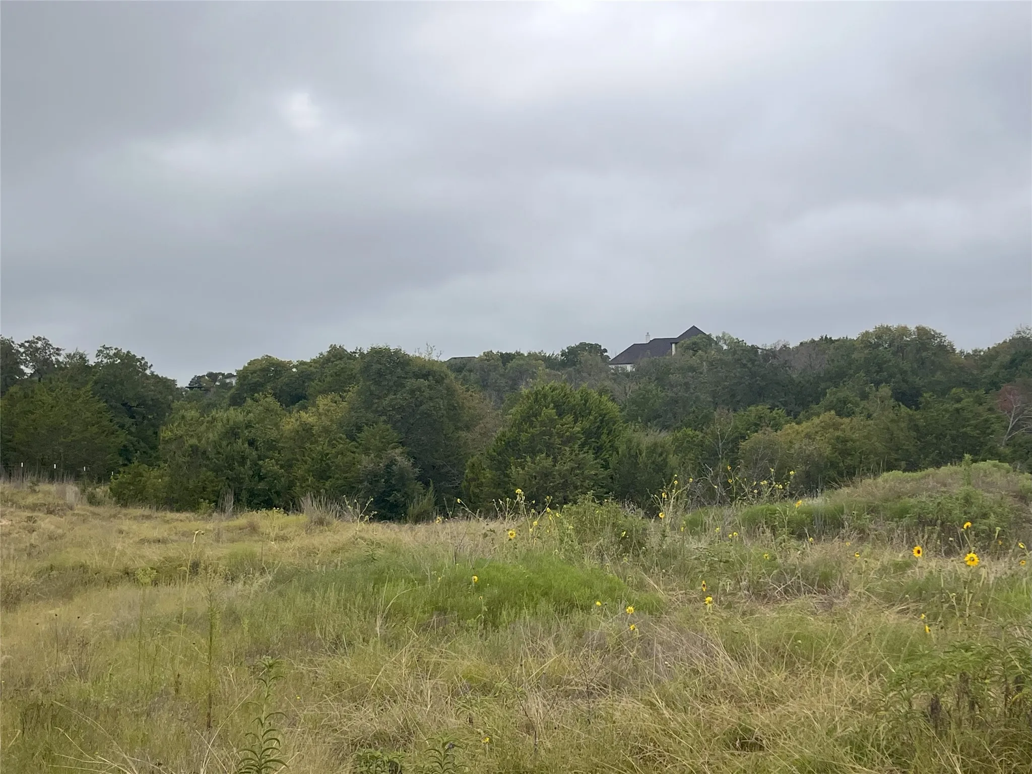 View of wooded area