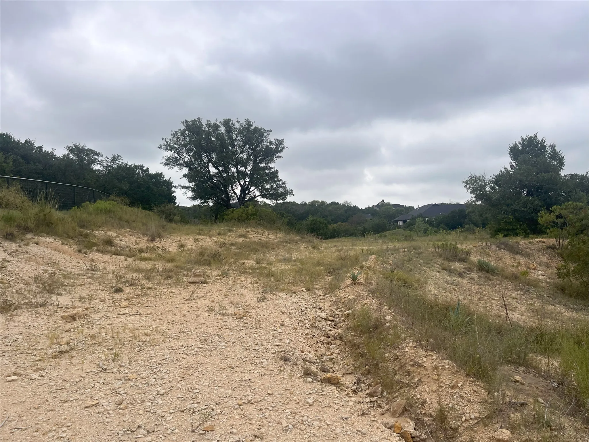 View of local wilderness