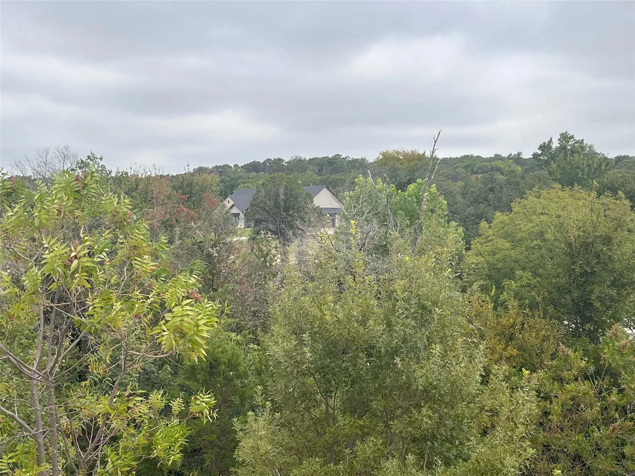 View of woods