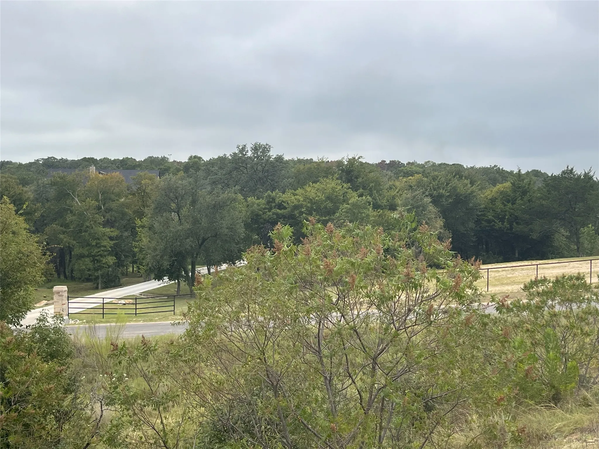 View of yard with a forest view and a view of rural / pastoral area
