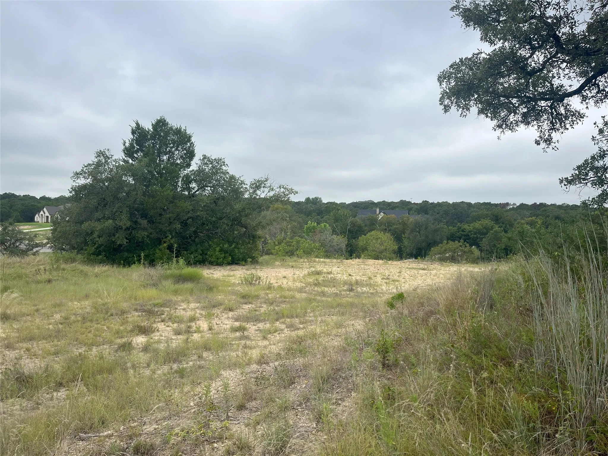 View of tree filled area featuring a view of rural / pastoral area