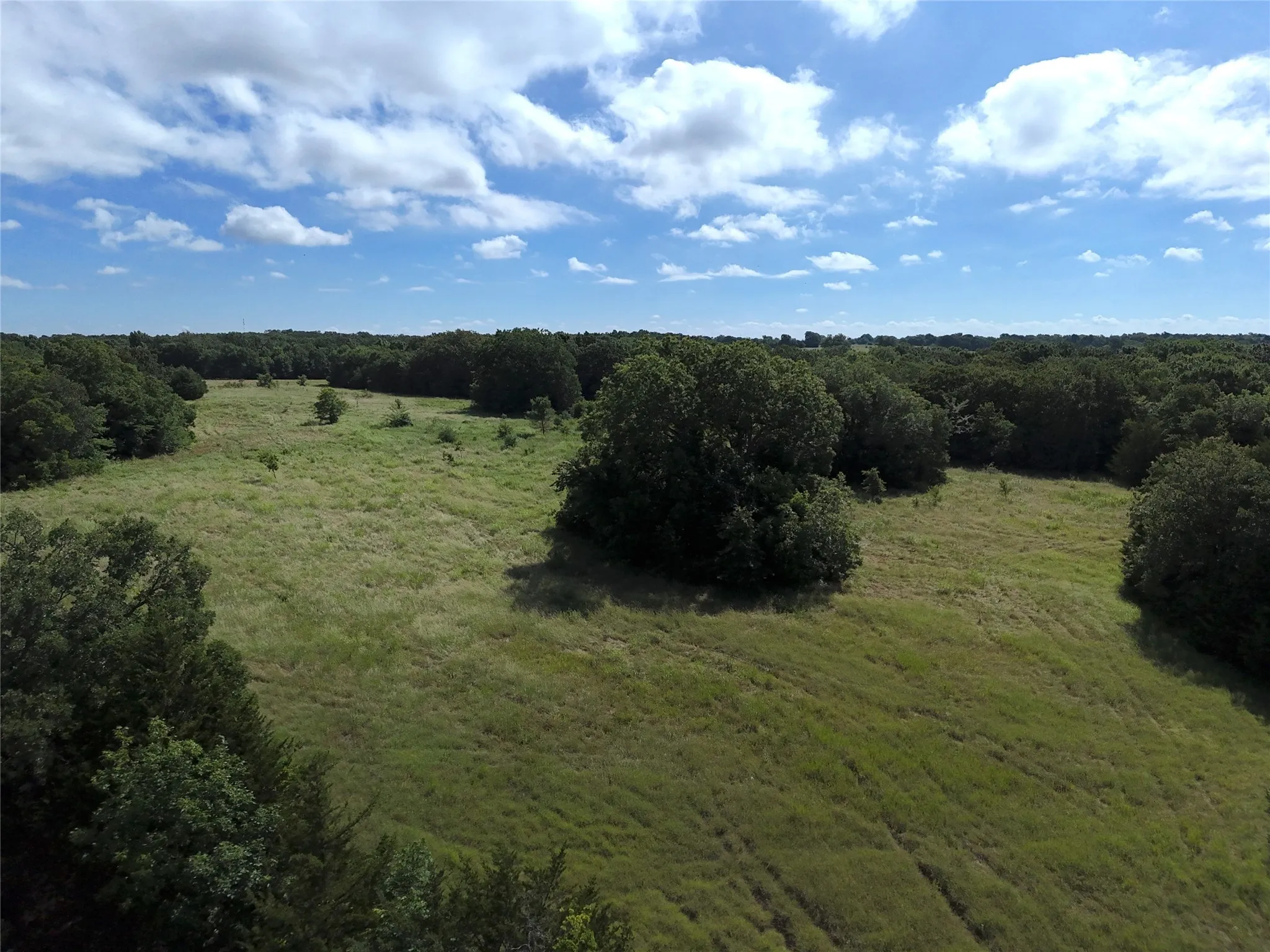 Unimproved Land For Sale in Fannin County , 0013 CR 2770, Honey Grove, Texas 75446, 0, 0, Garage spaces, 0 Sqft, built in 0, Price $227,500, mls#21046654, Real Estate Agent in Honey Grove, Homes For Sale in Fannin county, Homes For Sale in Honey Grove, Realtor in Honey Grove Texas, Real Estate Brokerage Independent Realty Texas, Luminita Cordes Realtor