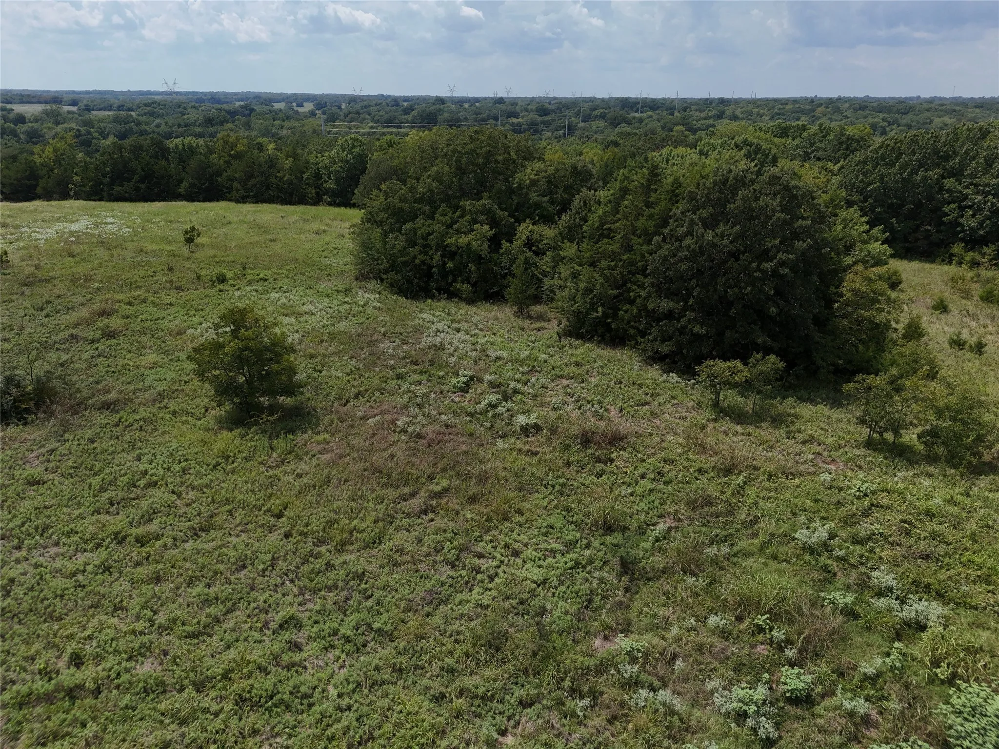Unimproved Land For Sale in Fannin County , 0013 CR 2770, Honey Grove, Texas 75446, 0, 0, Garage spaces, 0 Sqft, built in 0, Price $227,500, mls#21046654, Real Estate Agent in Honey Grove, Homes For Sale in Fannin county, Homes For Sale in Honey Grove, Realtor in Honey Grove Texas, Real Estate Brokerage Independent Realty Texas, Luminita Cordes Realtor