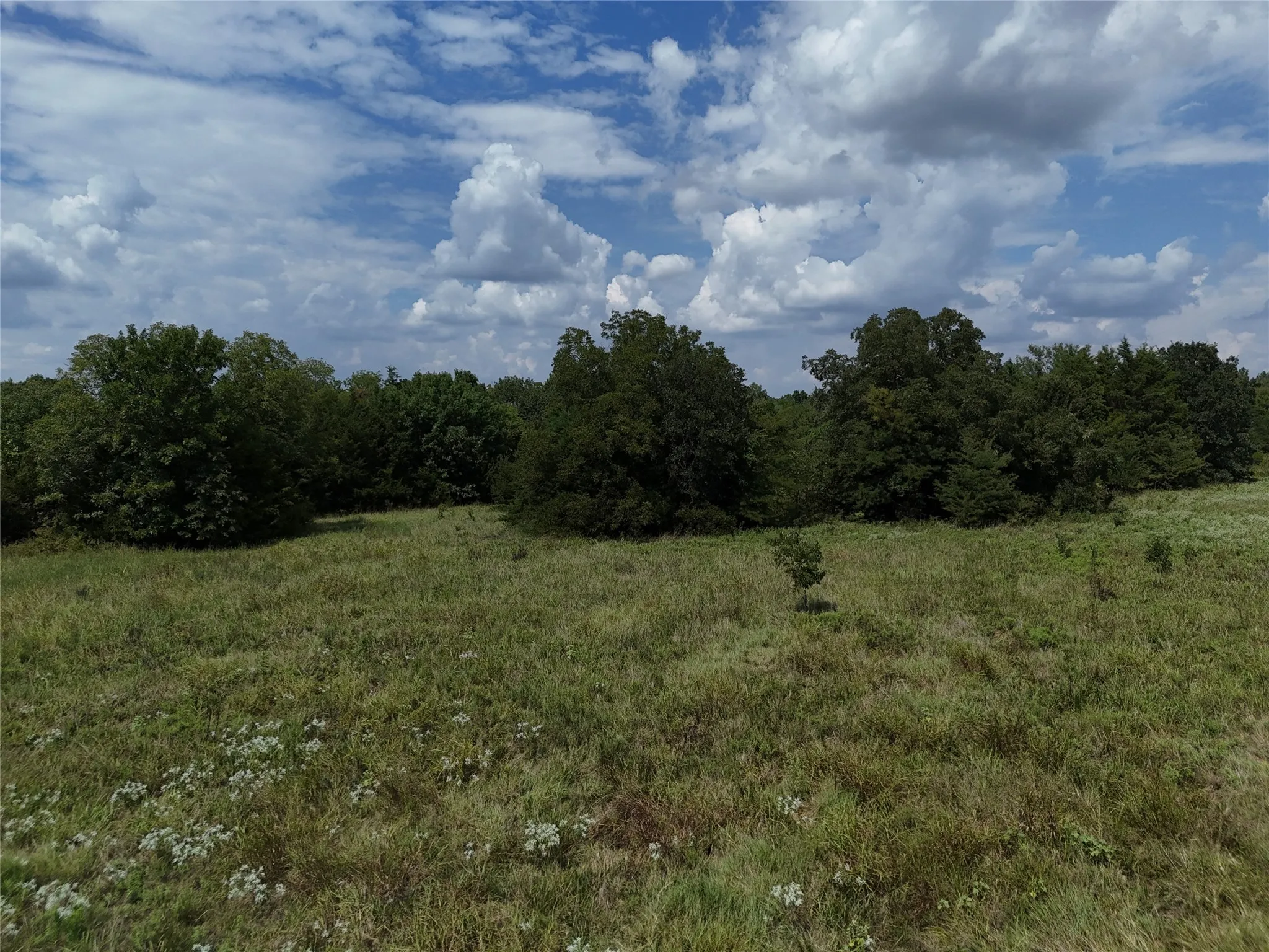 Unimproved Land For Sale in Fannin County , 0013 CR 2770, Honey Grove, Texas 75446, 0, 0, Garage spaces, 0 Sqft, built in 0, Price $227,500, mls#21046654, Real Estate Agent in Honey Grove, Homes For Sale in Fannin county, Homes For Sale in Honey Grove, Realtor in Honey Grove Texas, Real Estate Brokerage Independent Realty Texas, Luminita Cordes Realtor
