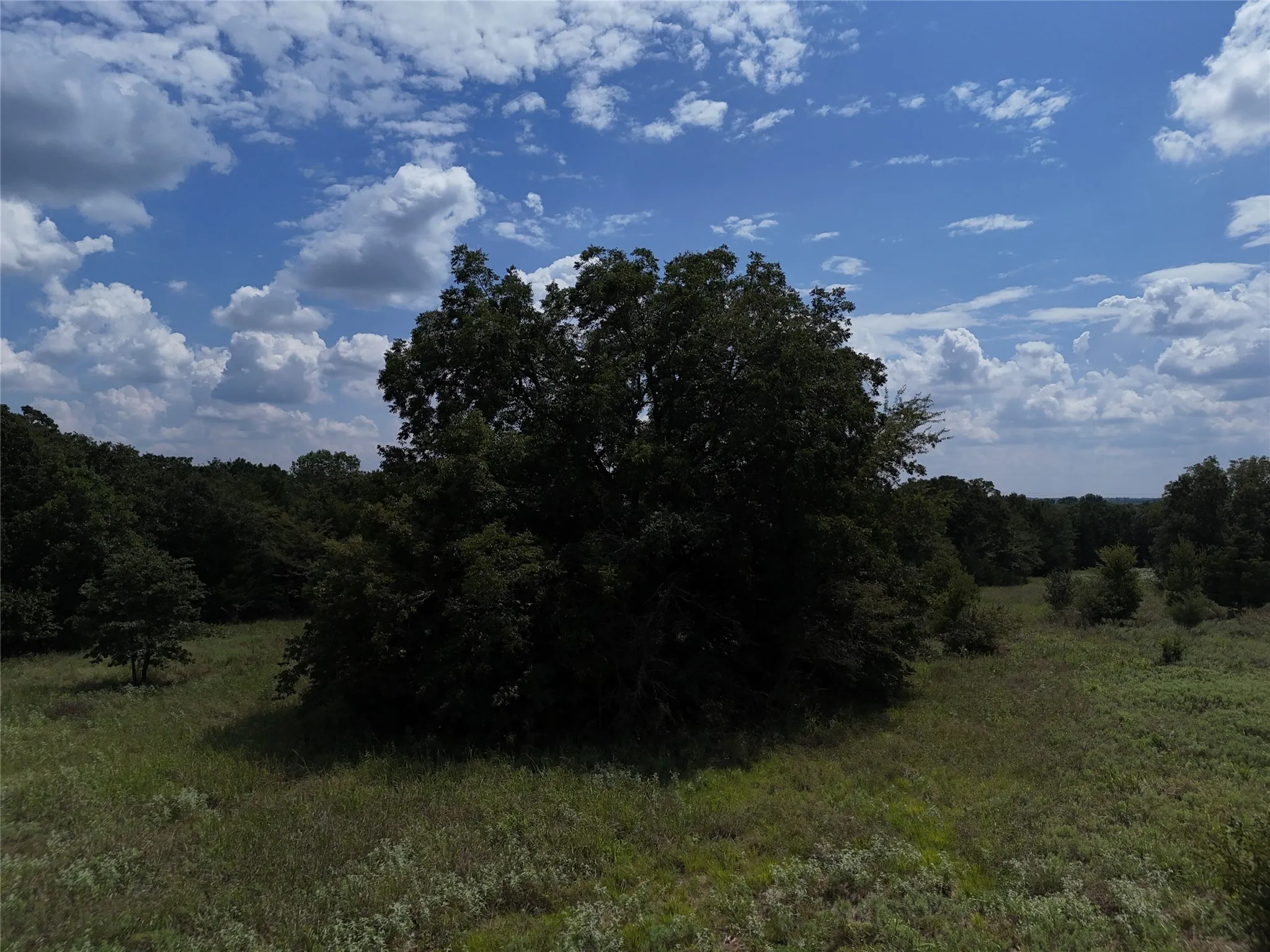Unimproved Land For Sale in Fannin County , 0013 CR 2770, Honey Grove, Texas 75446, 0, 0, Garage spaces, 0 Sqft, built in 0, Price $227,500, mls#21046654, Real Estate Agent in Honey Grove, Homes For Sale in Fannin county, Homes For Sale in Honey Grove, Realtor in Honey Grove Texas, Real Estate Brokerage Independent Realty Texas, Luminita Cordes Realtor