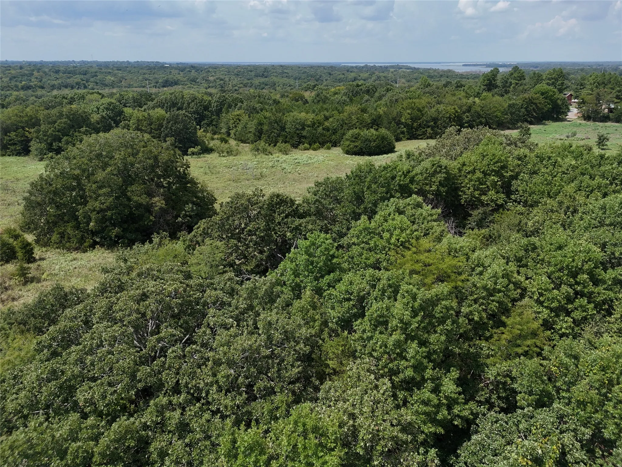 Unimproved Land For Sale in Fannin County , 0013 CR 2770, Honey Grove, Texas 75446, 0, 0, Garage spaces, 0 Sqft, built in 0, Price $227,500, mls#21046654, Real Estate Agent in Honey Grove, Homes For Sale in Fannin county, Homes For Sale in Honey Grove, Realtor in Honey Grove Texas, Real Estate Brokerage Independent Realty Texas, Luminita Cordes Realtor