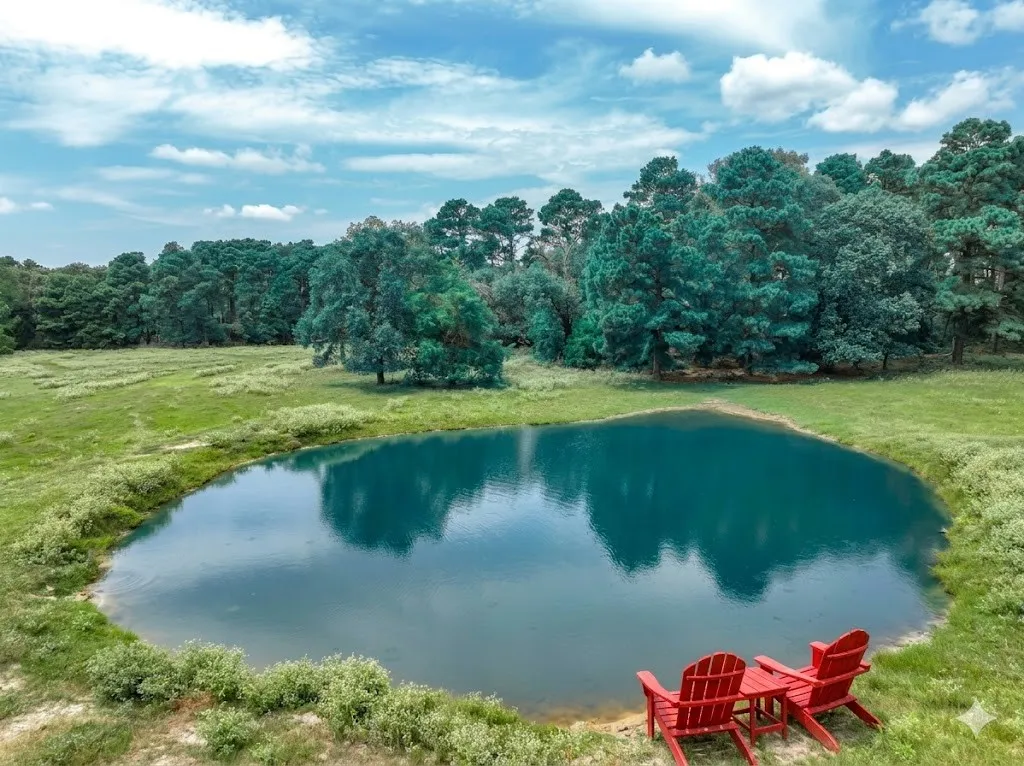 Improved Land For Sale in Van Zandt County , 0000 VZ County Road 2212, Canton, Texas 75103, 0, 0, Garage spaces, 0 Sqft, built in 0, Price $699,998, mls#21046940, Real Estate Agent in Canton, Homes For Sale in Van Zandt county, Homes For Sale in Canton, Realtor in Canton Texas, Real Estate Brokerage Independent Realty Texas, Luminita Cordes Realtor