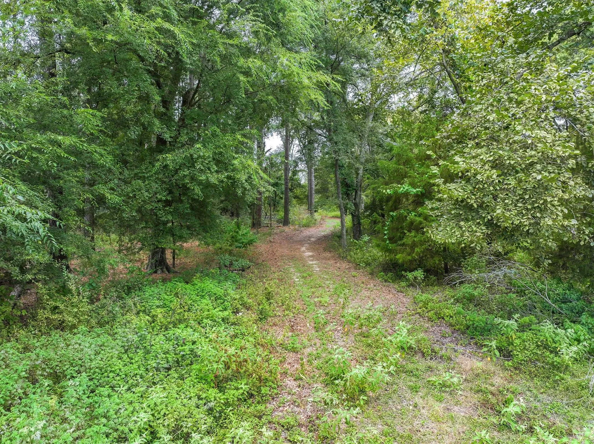 Improved Land For Sale in Van Zandt County , 0000 VZ County Road 2212, Canton, Texas 75103, 0, 0, Garage spaces, 0 Sqft, built in 0, Price $699,998, mls#21046940, Real Estate Agent in Canton, Homes For Sale in Van Zandt county, Homes For Sale in Canton, Realtor in Canton Texas, Real Estate Brokerage Independent Realty Texas, Luminita Cordes Realtor