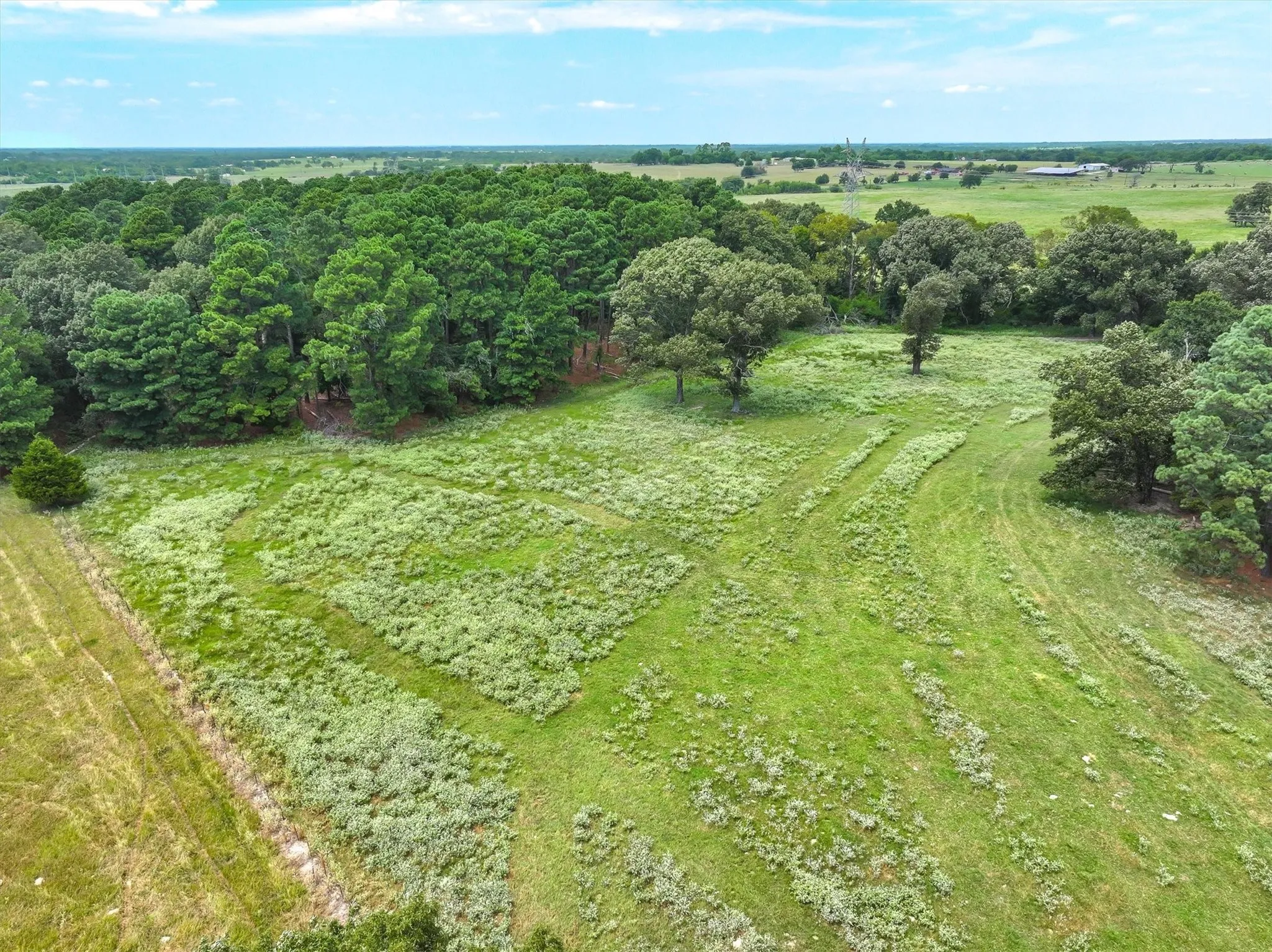 Improved Land For Sale in Van Zandt County , 0000 VZ County Road 2212, Canton, Texas 75103, 0, 0, Garage spaces, 0 Sqft, built in 0, Price $699,998, mls#21046940, Real Estate Agent in Canton, Homes For Sale in Van Zandt county, Homes For Sale in Canton, Realtor in Canton Texas, Real Estate Brokerage Independent Realty Texas, Luminita Cordes Realtor