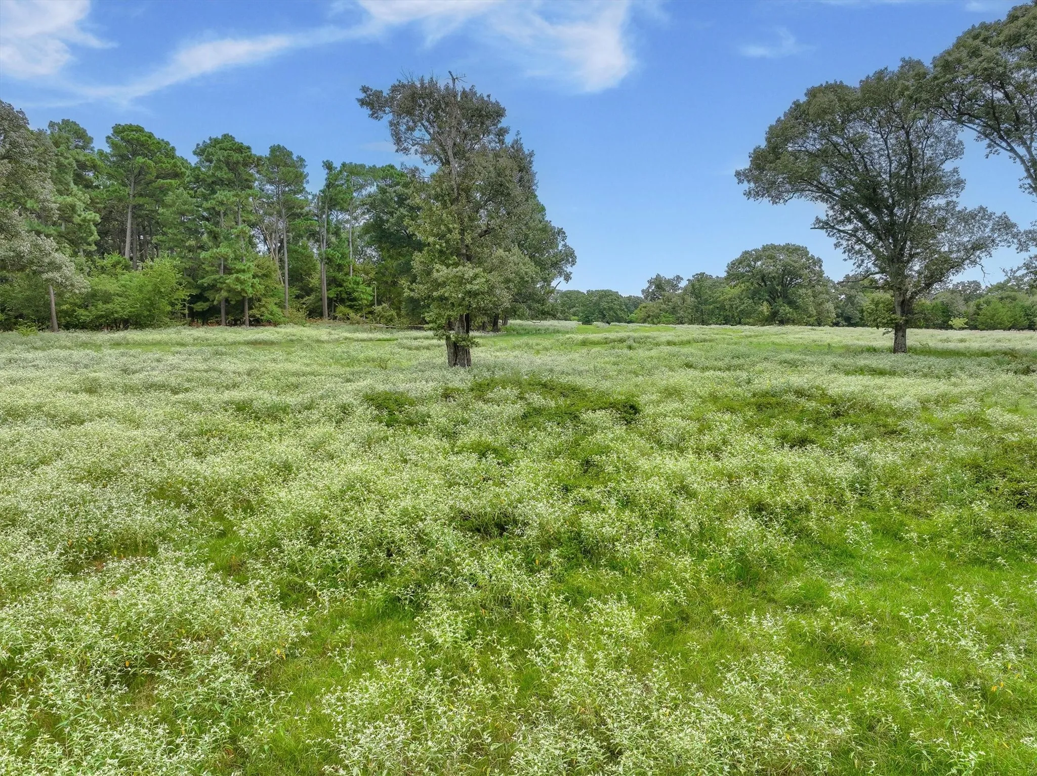 Improved Land For Sale in Van Zandt County , 0000 VZ County Road 2212, Canton, Texas 75103, 0, 0, Garage spaces, 0 Sqft, built in 0, Price $699,998, mls#21046940, Real Estate Agent in Canton, Homes For Sale in Van Zandt county, Homes For Sale in Canton, Realtor in Canton Texas, Real Estate Brokerage Independent Realty Texas, Luminita Cordes Realtor
