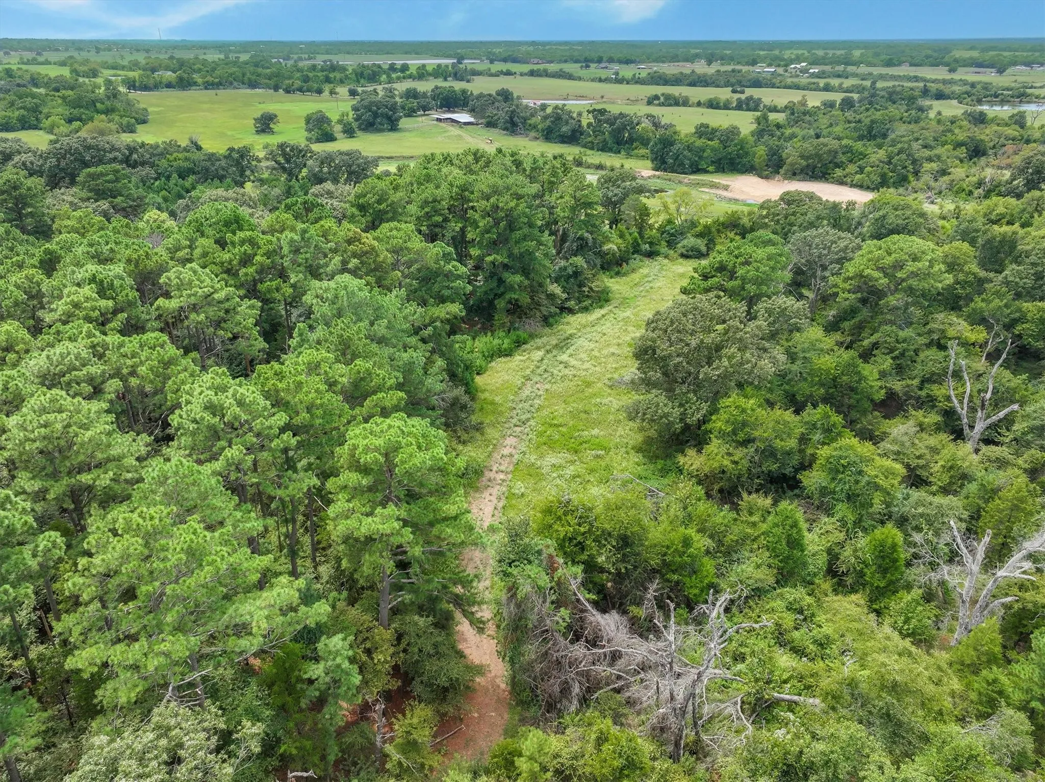 Improved Land For Sale in Van Zandt County , 0000 VZ County Road 2212, Canton, Texas 75103, 0, 0, Garage spaces, 0 Sqft, built in 0, Price $699,998, mls#21046940, Real Estate Agent in Canton, Homes For Sale in Van Zandt county, Homes For Sale in Canton, Realtor in Canton Texas, Real Estate Brokerage Independent Realty Texas, Luminita Cordes Realtor