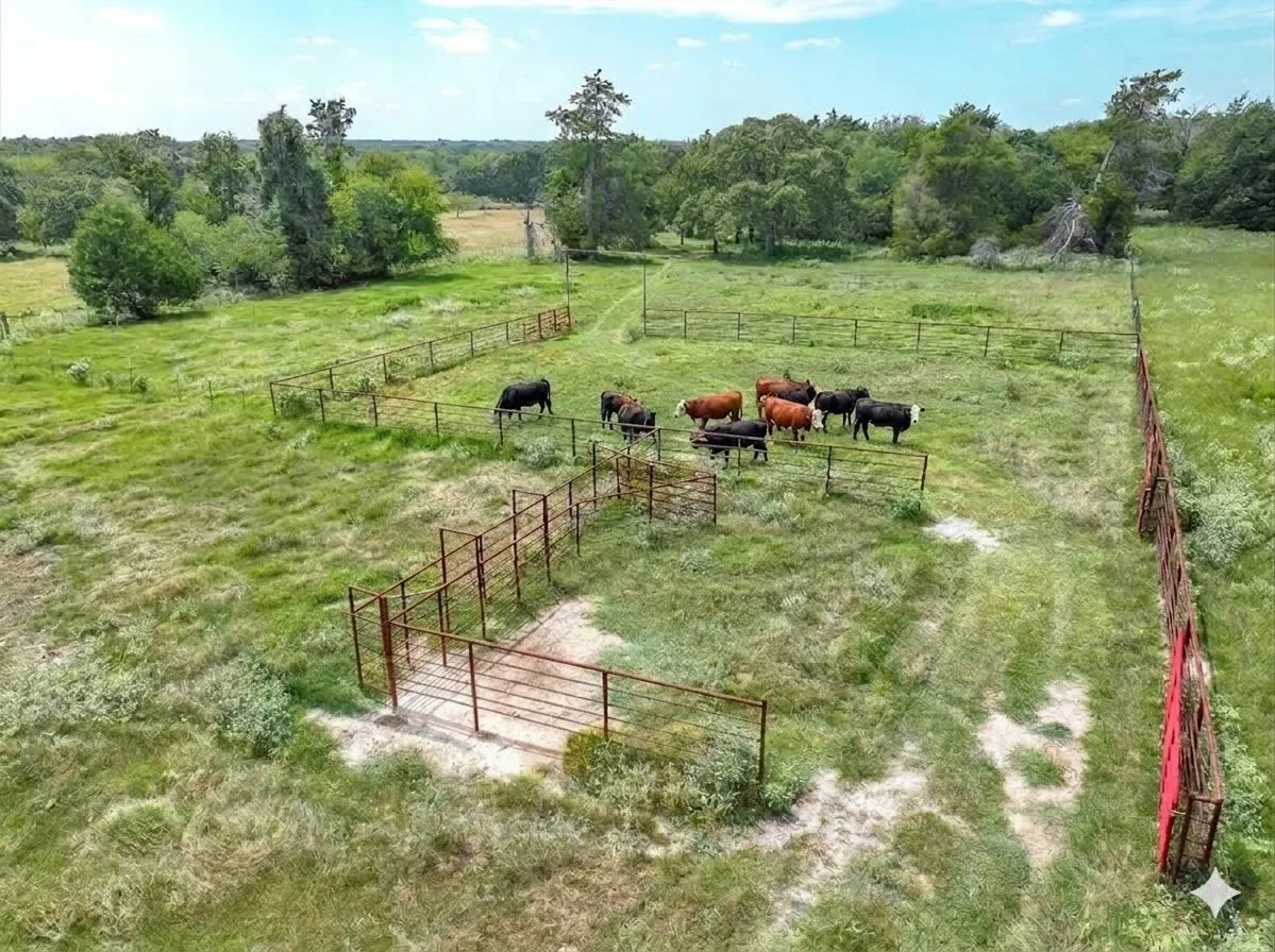 Improved Land For Sale in Van Zandt County , 0000 VZ County Road 2212, Canton, Texas 75103, 0, 0, Garage spaces, 0 Sqft, built in 0, Price $699,998, mls#21046940, Real Estate Agent in Canton, Homes For Sale in Van Zandt county, Homes For Sale in Canton, Realtor in Canton Texas, Real Estate Brokerage Independent Realty Texas, Luminita Cordes Realtor
