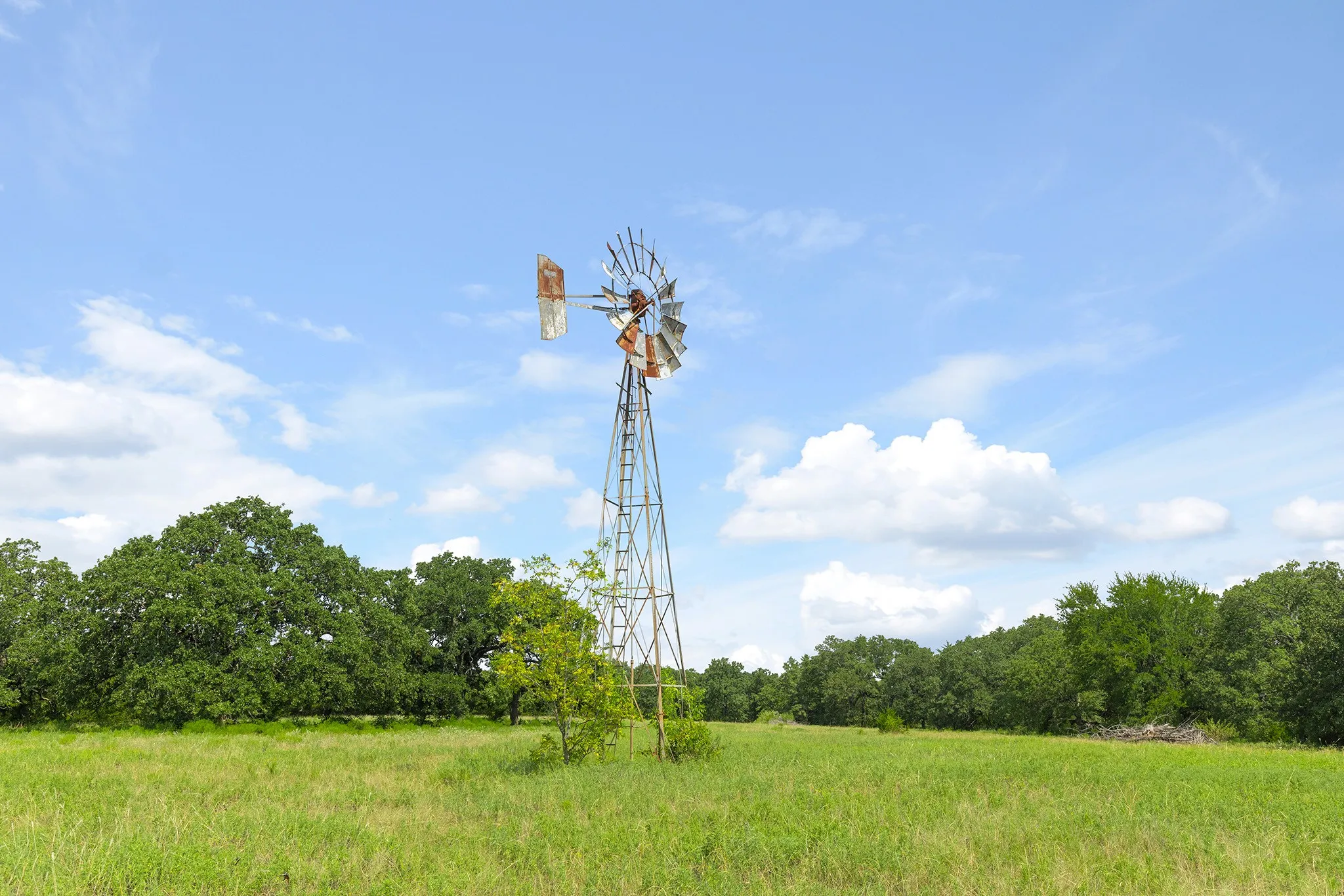 View of local wilderness