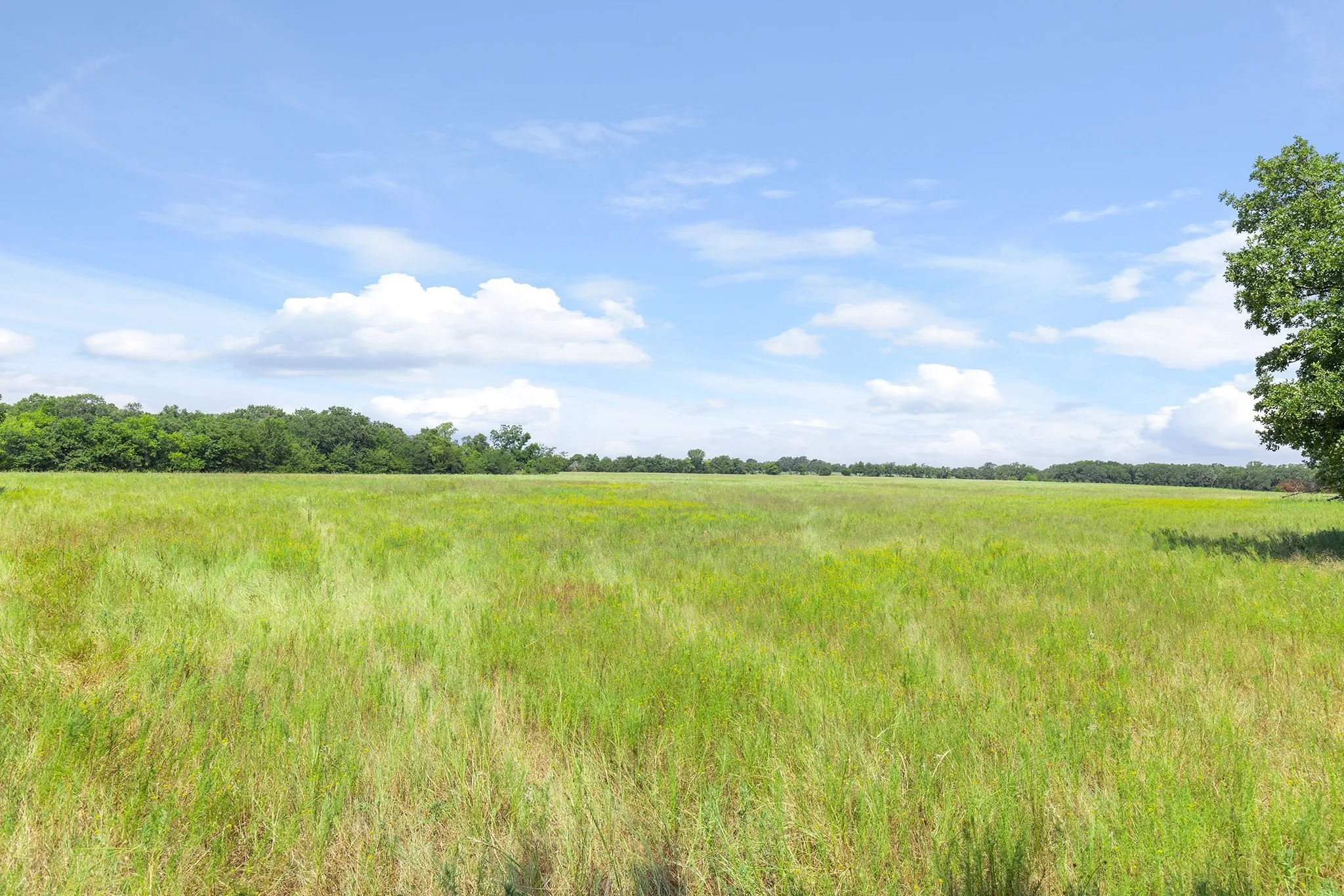 View of nature with rural landscape
