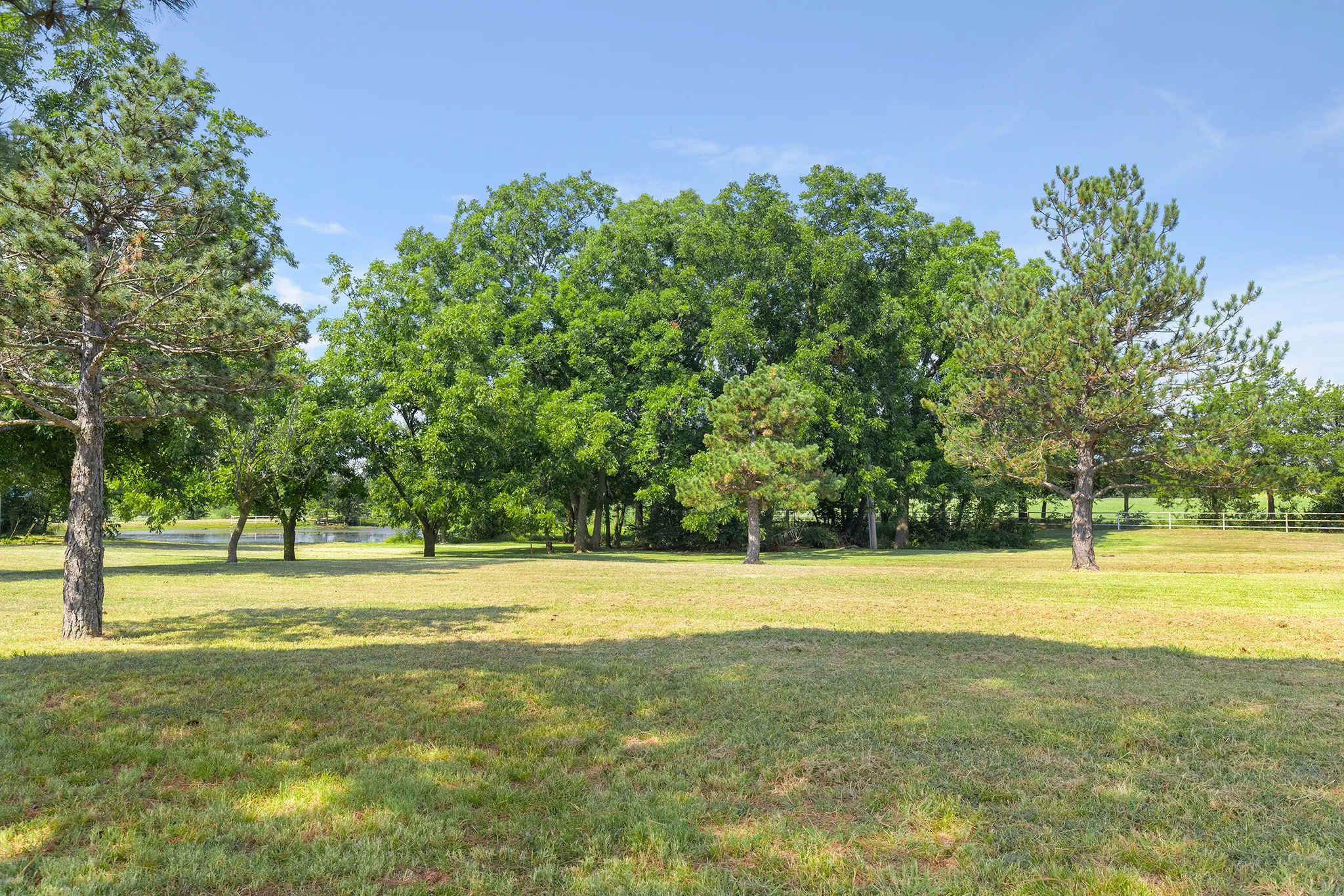 View of green lawn with view of scattered trees