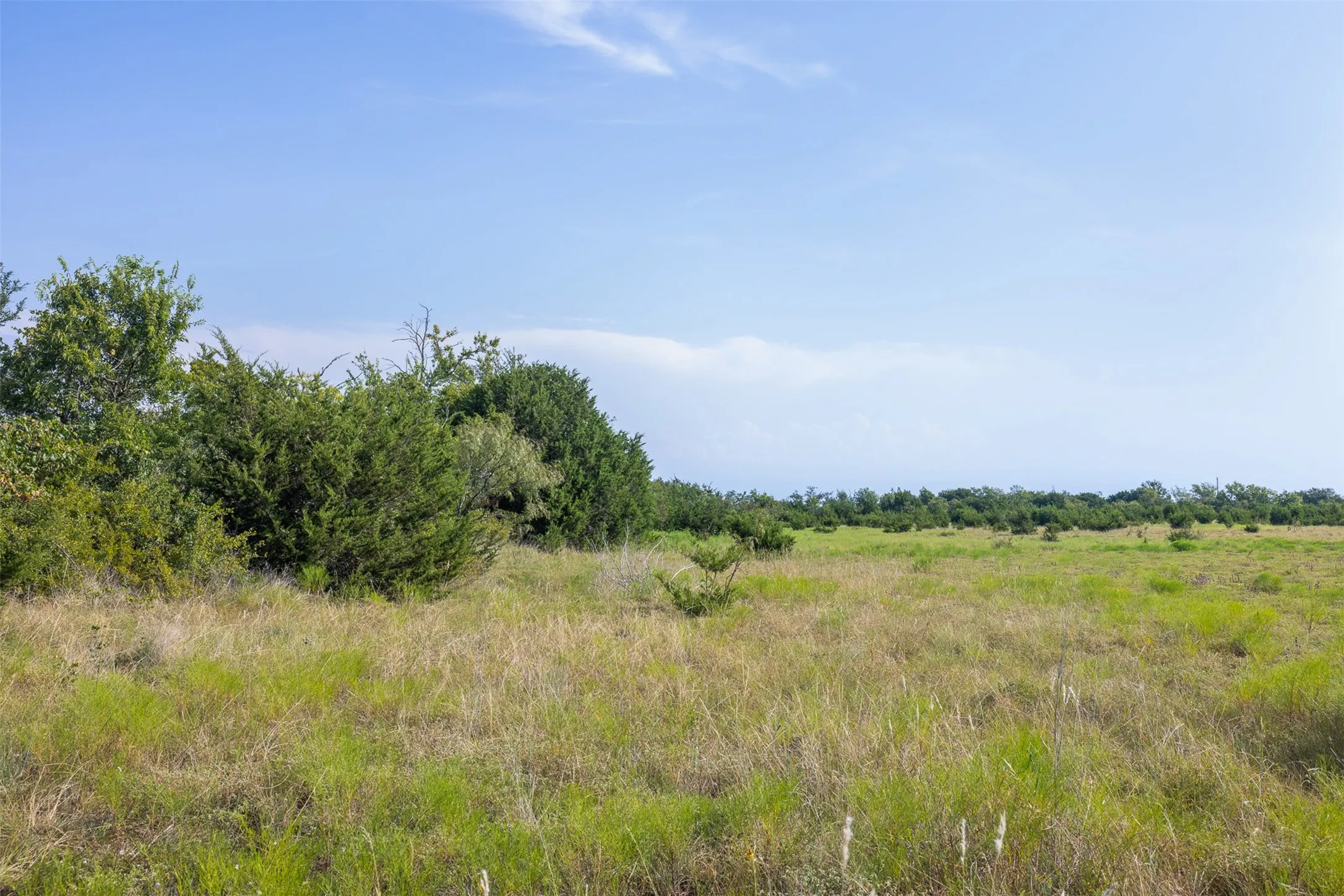View of undeveloped land featuring rural landscape