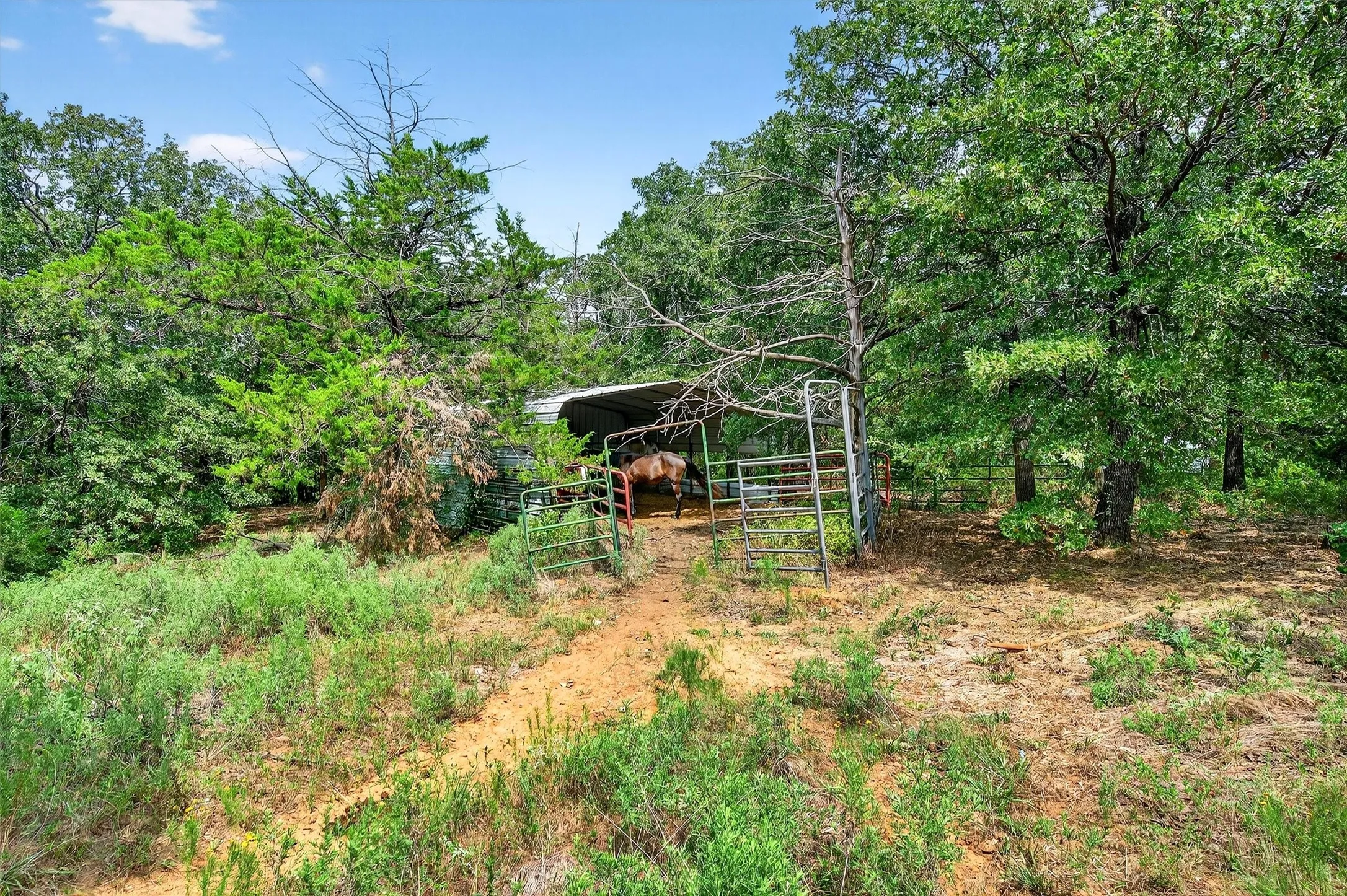 Farm For Sale in Grayson County , 2887 Liberty Road, Gordonville, Texas 76245, 5 Bedroom, 3 Bathroom, 5 Garage spaces, 5,500 Sqft, built in 1990, Preowned, mls#21047375, Real Estate Agent in Gordonville, Homes For Sale in Grayson county, Homes For Sale in Gordonville, Realtor in Gordonville Texas, Real Estate Brokerage Independent Realty Texas, Luminita Cordes Realtor