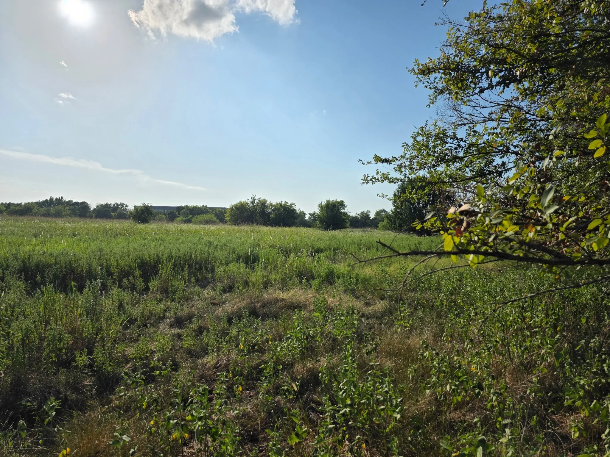 Unimproved Land For Sale in Limestone County , 0000 N Grayson Street, Groesbeck, Texas 76642, 0, 0, Garage spaces, 0 Sqft, built in 0, mls#21047348, Real Estate Agent in Groesbeck, Homes For Sale in Limestone county, Homes For Sale in Groesbeck, Realtor in Groesbeck Texas, Real Estate Brokerage Independent Realty Texas, Luminita Cordes Realtor