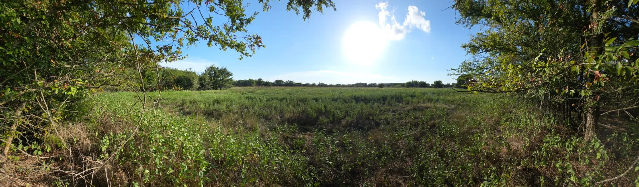 Unimproved Land For Sale in Limestone County , 0000 N Grayson Street, Groesbeck, Texas 76642, 0, 0, Garage spaces, 0 Sqft, built in 0, mls#21047348, Real Estate Agent in Groesbeck, Homes For Sale in Limestone county, Homes For Sale in Groesbeck, Realtor in Groesbeck Texas, Real Estate Brokerage Independent Realty Texas, Luminita Cordes Realtor