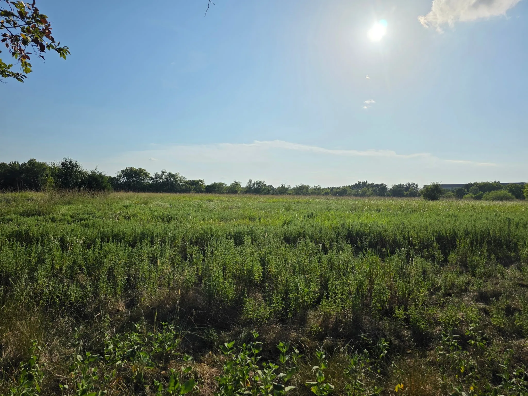 Unimproved Land For Sale in Limestone County , 0000 N Grayson Street, Groesbeck, Texas 76642, 0, 0, Garage spaces, 0 Sqft, built in 0, mls#21047348, Real Estate Agent in Groesbeck, Homes For Sale in Limestone county, Homes For Sale in Groesbeck, Realtor in Groesbeck Texas, Real Estate Brokerage Independent Realty Texas, Luminita Cordes Realtor