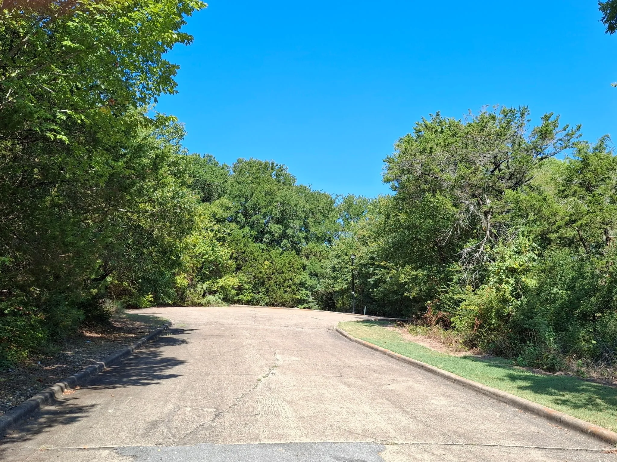 View of concrete road with curbs and a forest view
