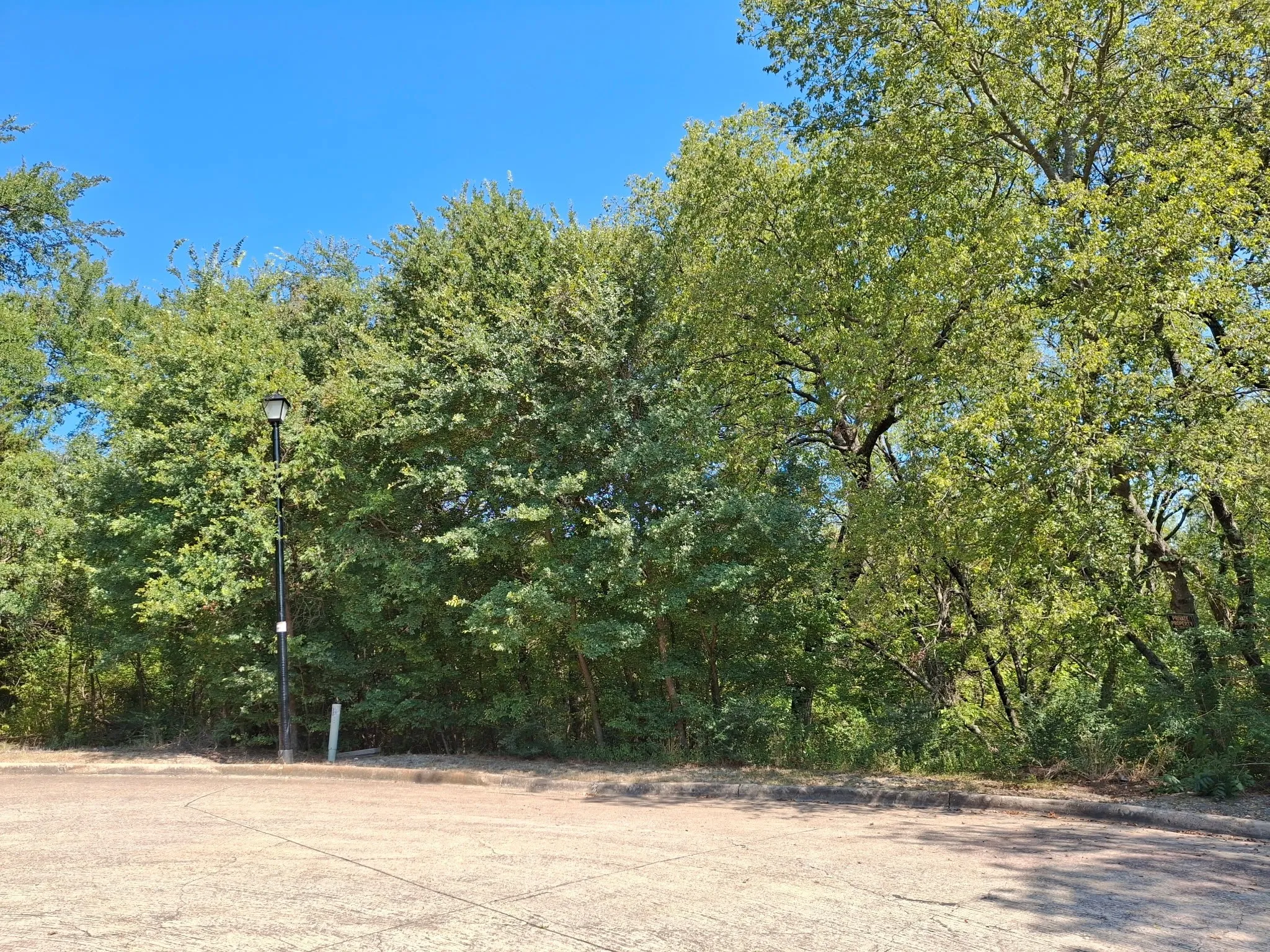 View of yard with a forest view