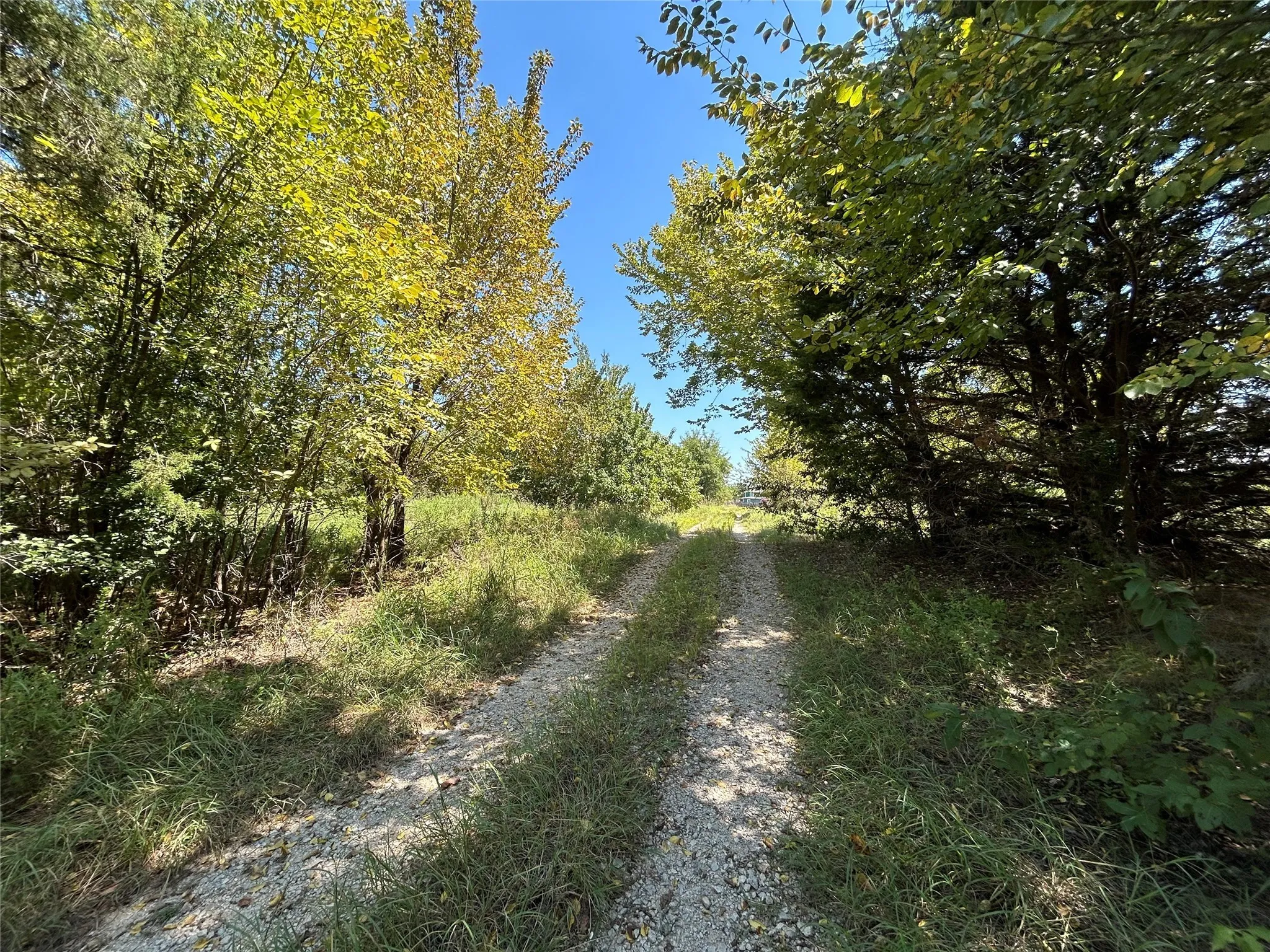 Unimproved Land For Sale in Wise County , 100 N Agnew Street, Boyd, Texas 76023, 0, 0, Garage spaces, 0 Sqft, built in 0, mls#21049710, Real Estate Agent in Boyd, Homes For Sale in Wise county, Homes For Sale in Boyd, Realtor in Boyd Texas, Real Estate Brokerage Independent Realty Texas, Luminita Cordes Realtor