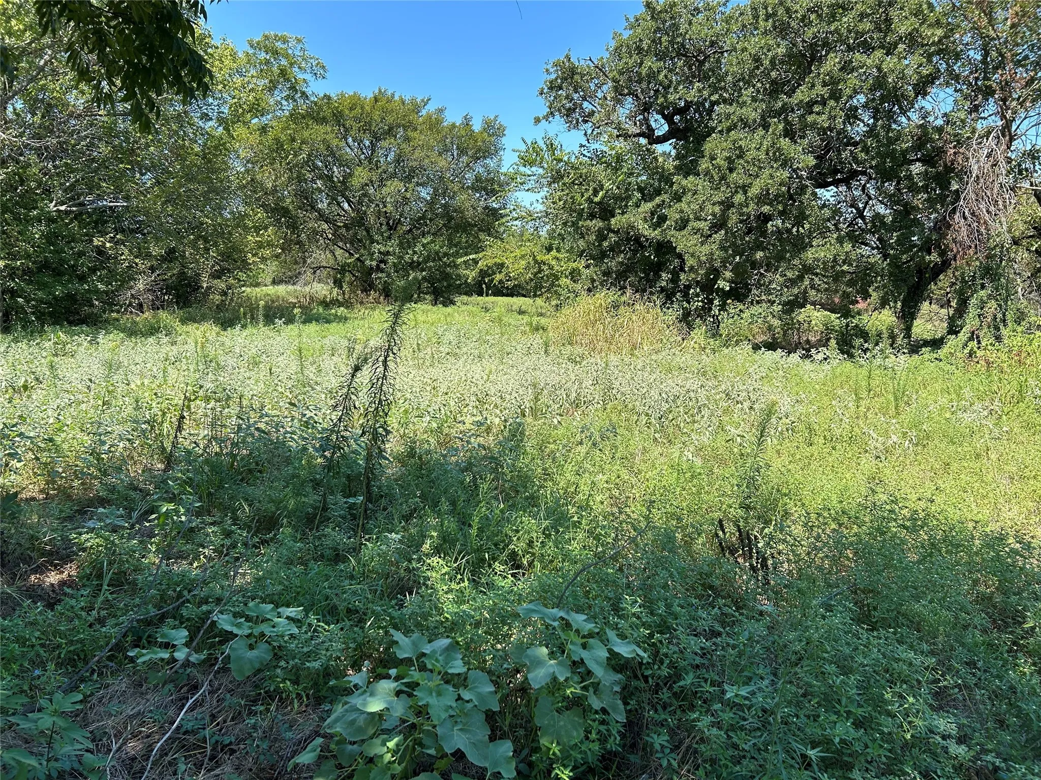 Unimproved Land For Sale in Wise County , 100 N Agnew Street, Boyd, Texas 76023, 0, 0, Garage spaces, 0 Sqft, built in 0, mls#21049710, Real Estate Agent in Boyd, Homes For Sale in Wise county, Homes For Sale in Boyd, Realtor in Boyd Texas, Real Estate Brokerage Independent Realty Texas, Luminita Cordes Realtor