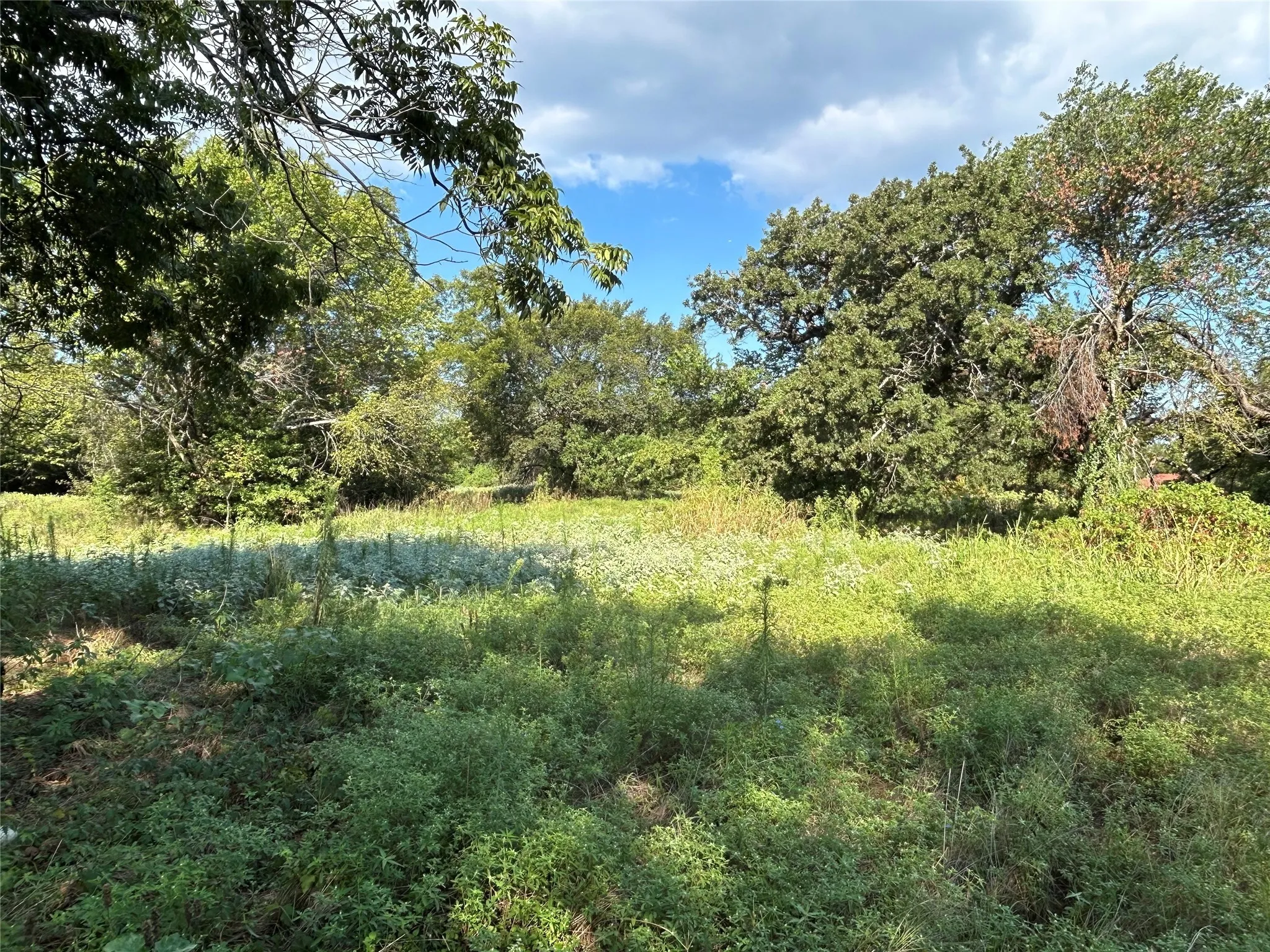 Unimproved Land For Sale in Wise County , 100 N Agnew Street, Boyd, Texas 76023, 0, 0, Garage spaces, 0 Sqft, built in 0, mls#21049710, Real Estate Agent in Boyd, Homes For Sale in Wise county, Homes For Sale in Boyd, Realtor in Boyd Texas, Real Estate Brokerage Independent Realty Texas, Luminita Cordes Realtor