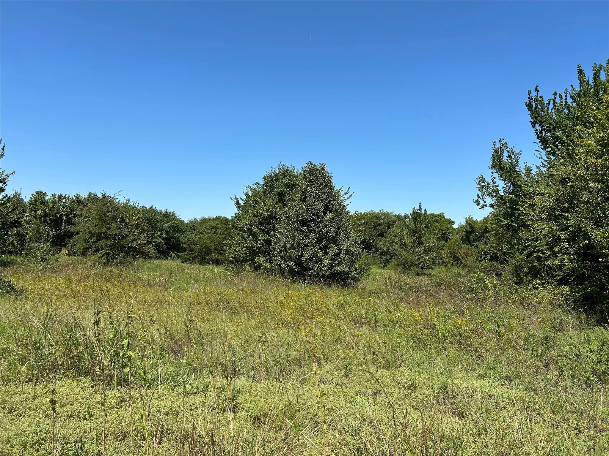 Unimproved Land For Sale in Wise County , 100 N Agnew Street, Boyd, Texas 76023, 0, 0, Garage spaces, 0 Sqft, built in 0, mls#21049710, Real Estate Agent in Boyd, Homes For Sale in Wise county, Homes For Sale in Boyd, Realtor in Boyd Texas, Real Estate Brokerage Independent Realty Texas, Luminita Cordes Realtor