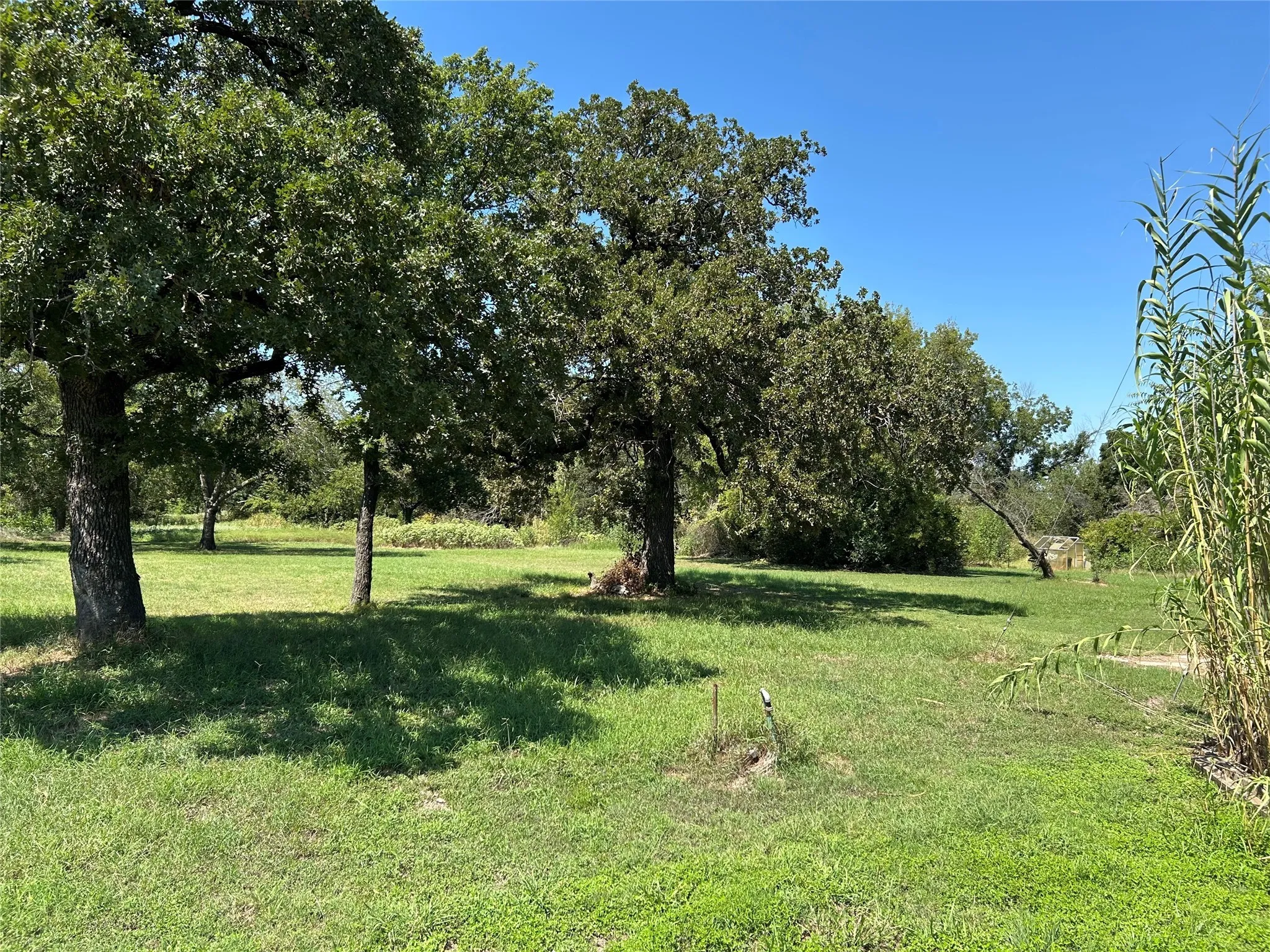 Unimproved Land For Sale in Wise County , 100 N Agnew Street, Boyd, Texas 76023, 0, 0, Garage spaces, 0 Sqft, built in 0, mls#21049710, Real Estate Agent in Boyd, Homes For Sale in Wise county, Homes For Sale in Boyd, Realtor in Boyd Texas, Real Estate Brokerage Independent Realty Texas, Luminita Cordes Realtor