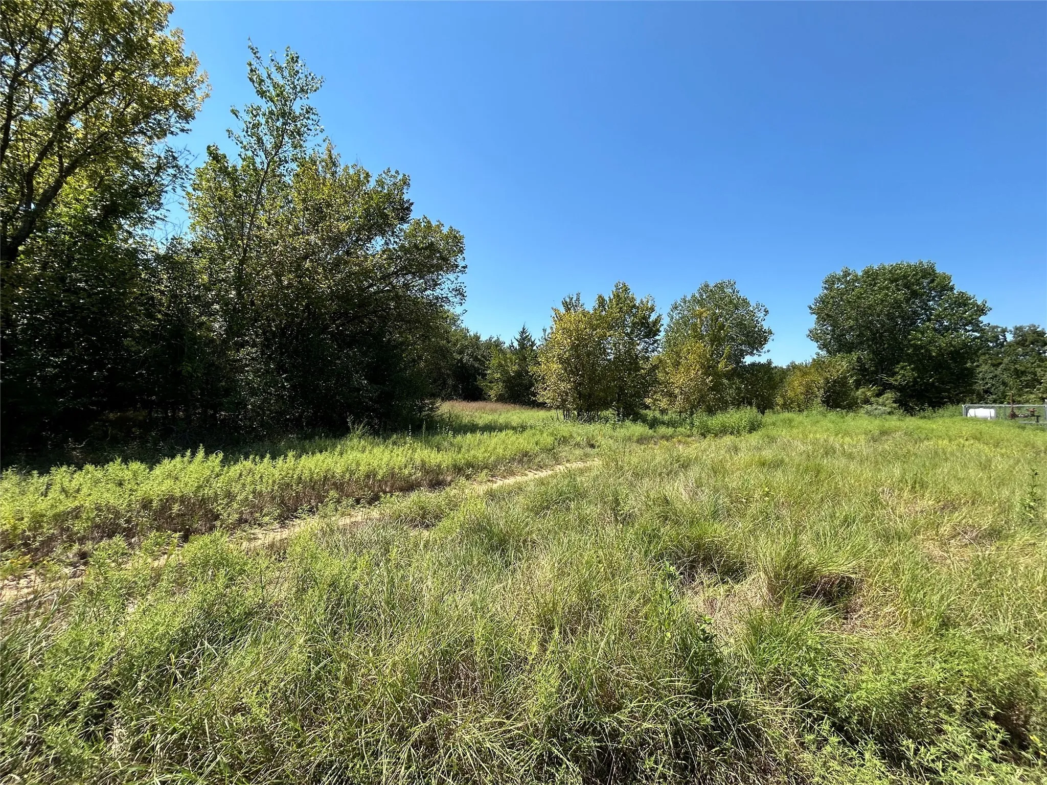 Unimproved Land For Sale in Wise County , 100 N Agnew Street, Boyd, Texas 76023, 0, 0, Garage spaces, 0 Sqft, built in 0, mls#21049710, Real Estate Agent in Boyd, Homes For Sale in Wise county, Homes For Sale in Boyd, Realtor in Boyd Texas, Real Estate Brokerage Independent Realty Texas, Luminita Cordes Realtor