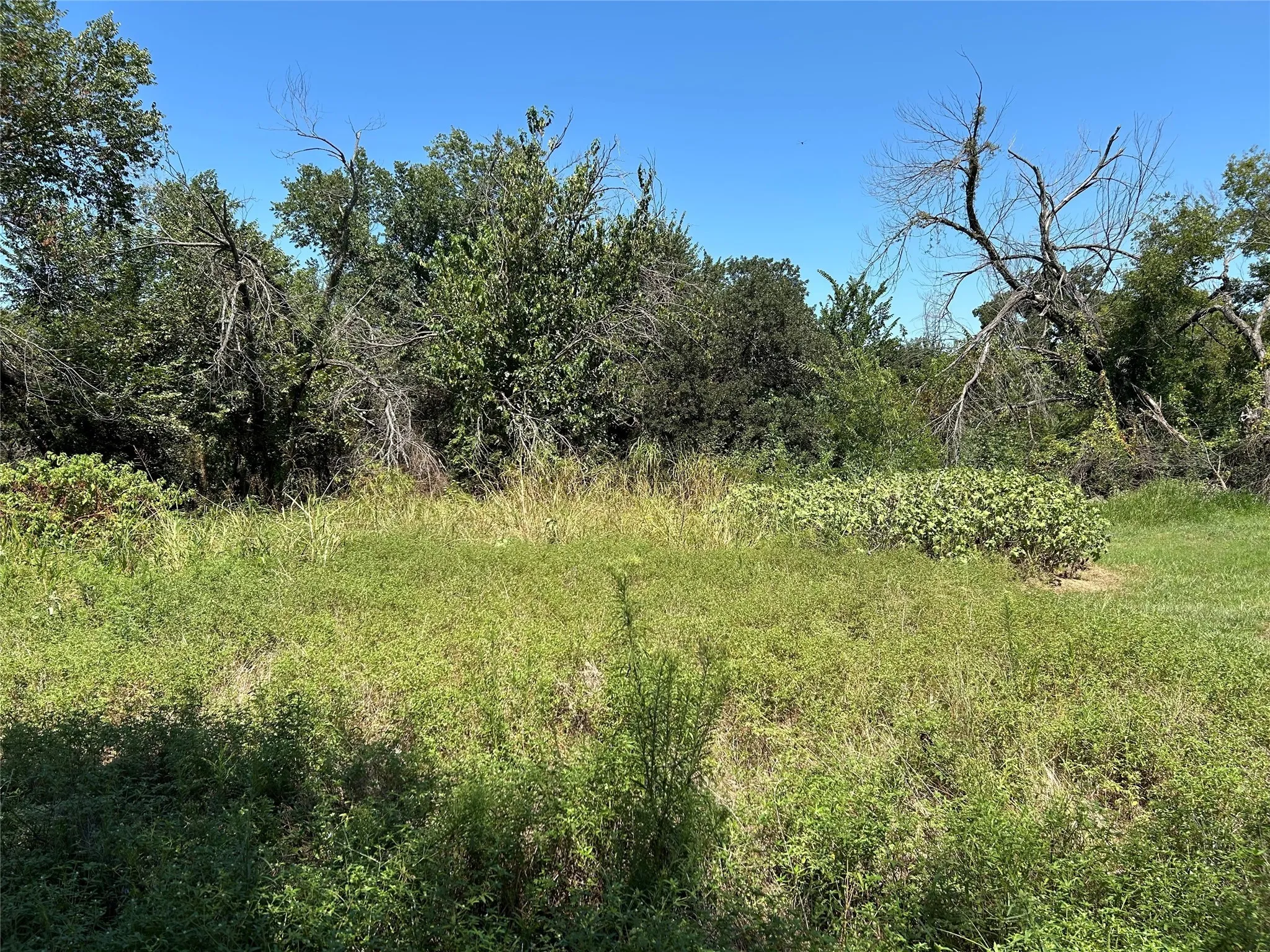 Unimproved Land For Sale in Wise County , 100 N Agnew Street, Boyd, Texas 76023, 0, 0, Garage spaces, 0 Sqft, built in 0, mls#21049710, Real Estate Agent in Boyd, Homes For Sale in Wise county, Homes For Sale in Boyd, Realtor in Boyd Texas, Real Estate Brokerage Independent Realty Texas, Luminita Cordes Realtor