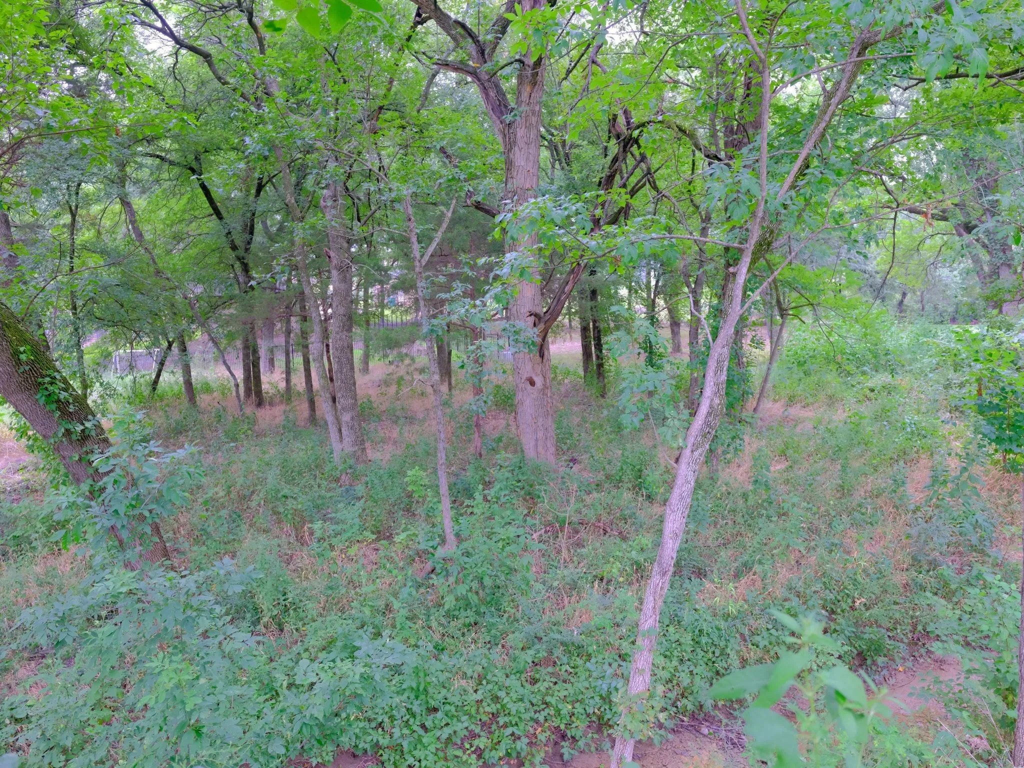 Unimproved Land For Sale in Ellis County , 2414 Summer Brook Court, Cedar Hill, Texas 75104, 0, 0, Garage spaces, 0 Sqft, built in 0, Price $148,000, mls#21048253, Real Estate Agent in Cedar Hill, Homes For Sale in Ellis county, Homes For Sale in Cedar Hill, Realtor in Cedar Hill Texas, Real Estate Brokerage Independent Realty Texas, Luminita Cordes Realtor
