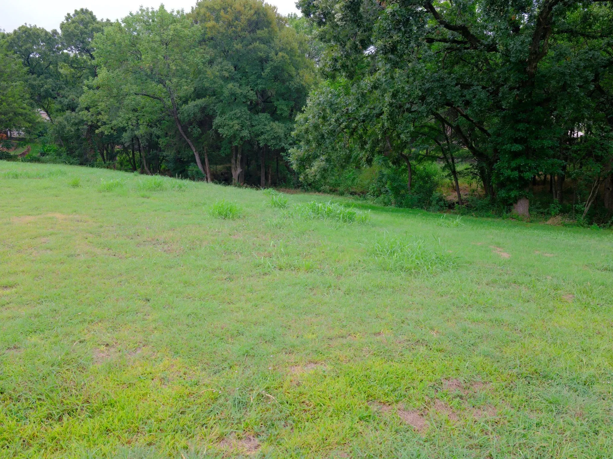 Unimproved Land For Sale in Ellis County , 2414 Summer Brook Court, Cedar Hill, Texas 75104, 0, 0, Garage spaces, 0 Sqft, built in 0, Price $148,000, mls#21048253, Real Estate Agent in Cedar Hill, Homes For Sale in Ellis county, Homes For Sale in Cedar Hill, Realtor in Cedar Hill Texas, Real Estate Brokerage Independent Realty Texas, Luminita Cordes Realtor