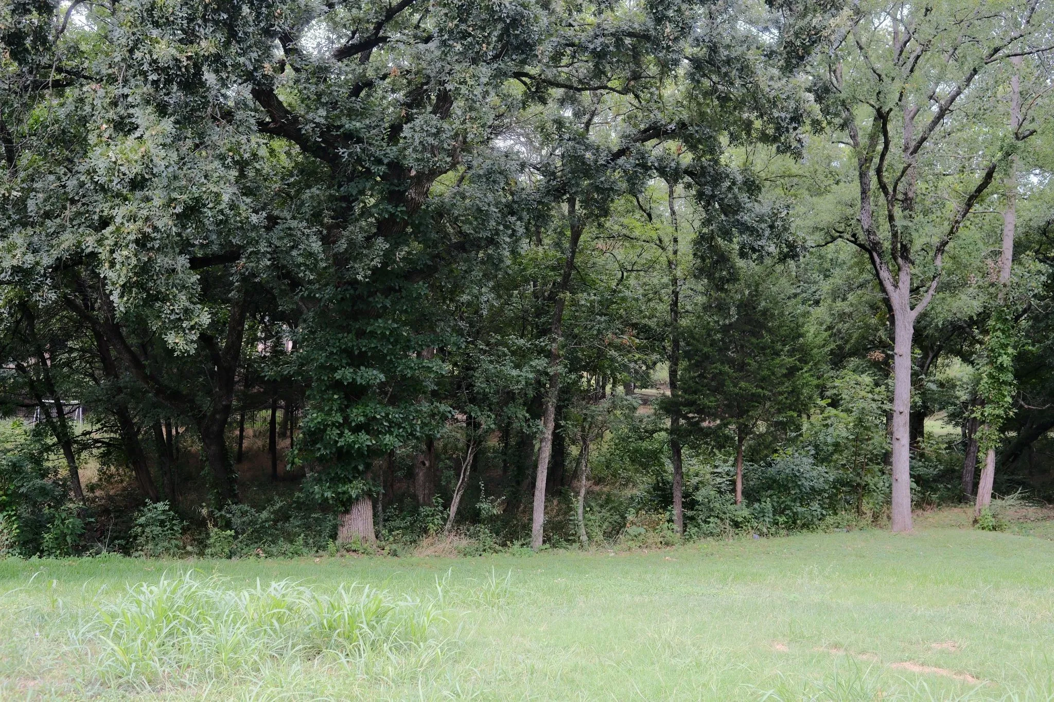 Unimproved Land For Sale in Ellis County , 2414 Summer Brook Court, Cedar Hill, Texas 75104, 0, 0, Garage spaces, 0 Sqft, built in 0, Price $148,000, mls#21048253, Real Estate Agent in Cedar Hill, Homes For Sale in Ellis county, Homes For Sale in Cedar Hill, Realtor in Cedar Hill Texas, Real Estate Brokerage Independent Realty Texas, Luminita Cordes Realtor