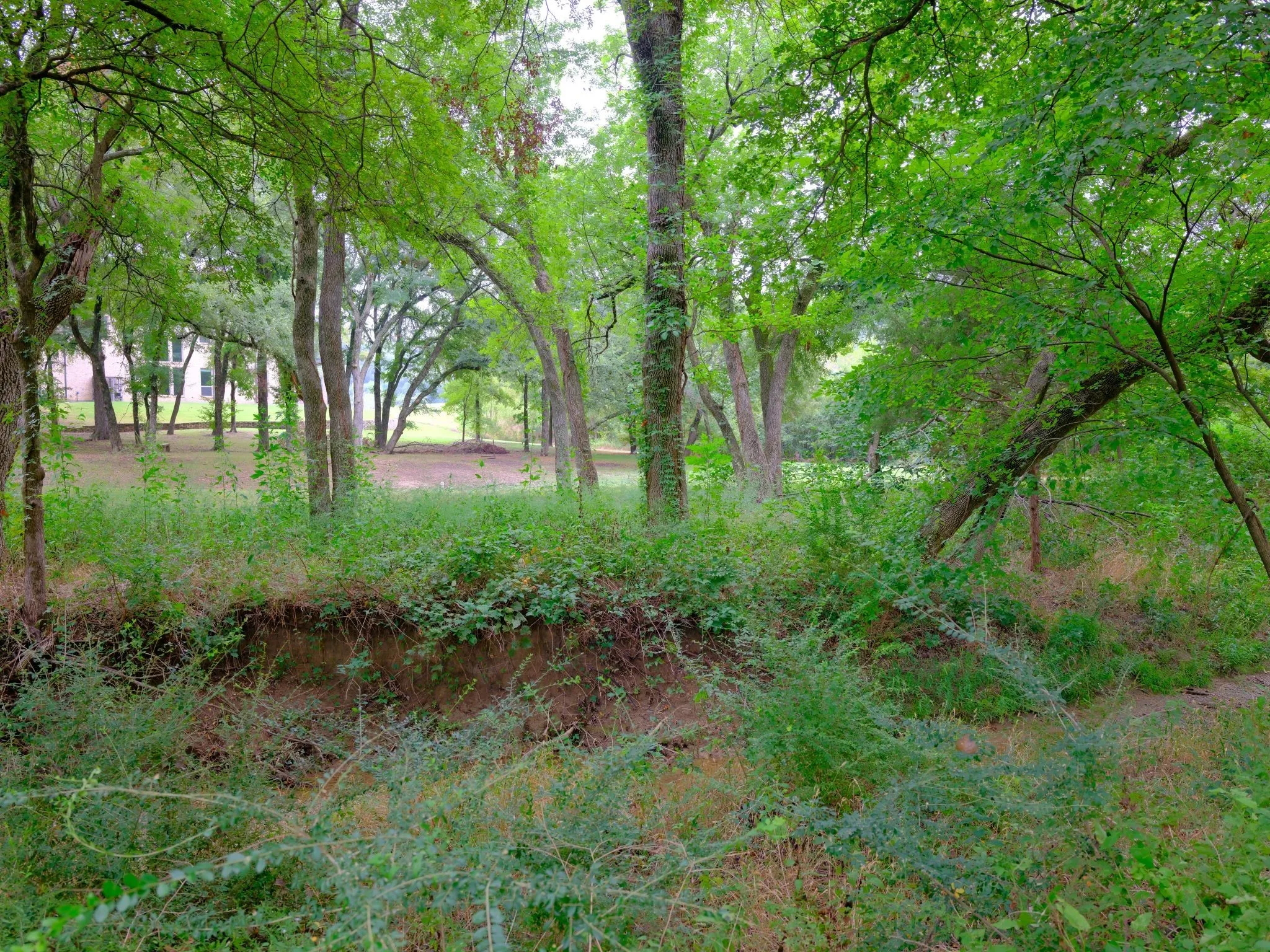 Unimproved Land For Sale in Ellis County , 2414 Summer Brook Court, Cedar Hill, Texas 75104, 0, 0, Garage spaces, 0 Sqft, built in 0, Price $148,000, mls#21048253, Real Estate Agent in Cedar Hill, Homes For Sale in Ellis county, Homes For Sale in Cedar Hill, Realtor in Cedar Hill Texas, Real Estate Brokerage Independent Realty Texas, Luminita Cordes Realtor