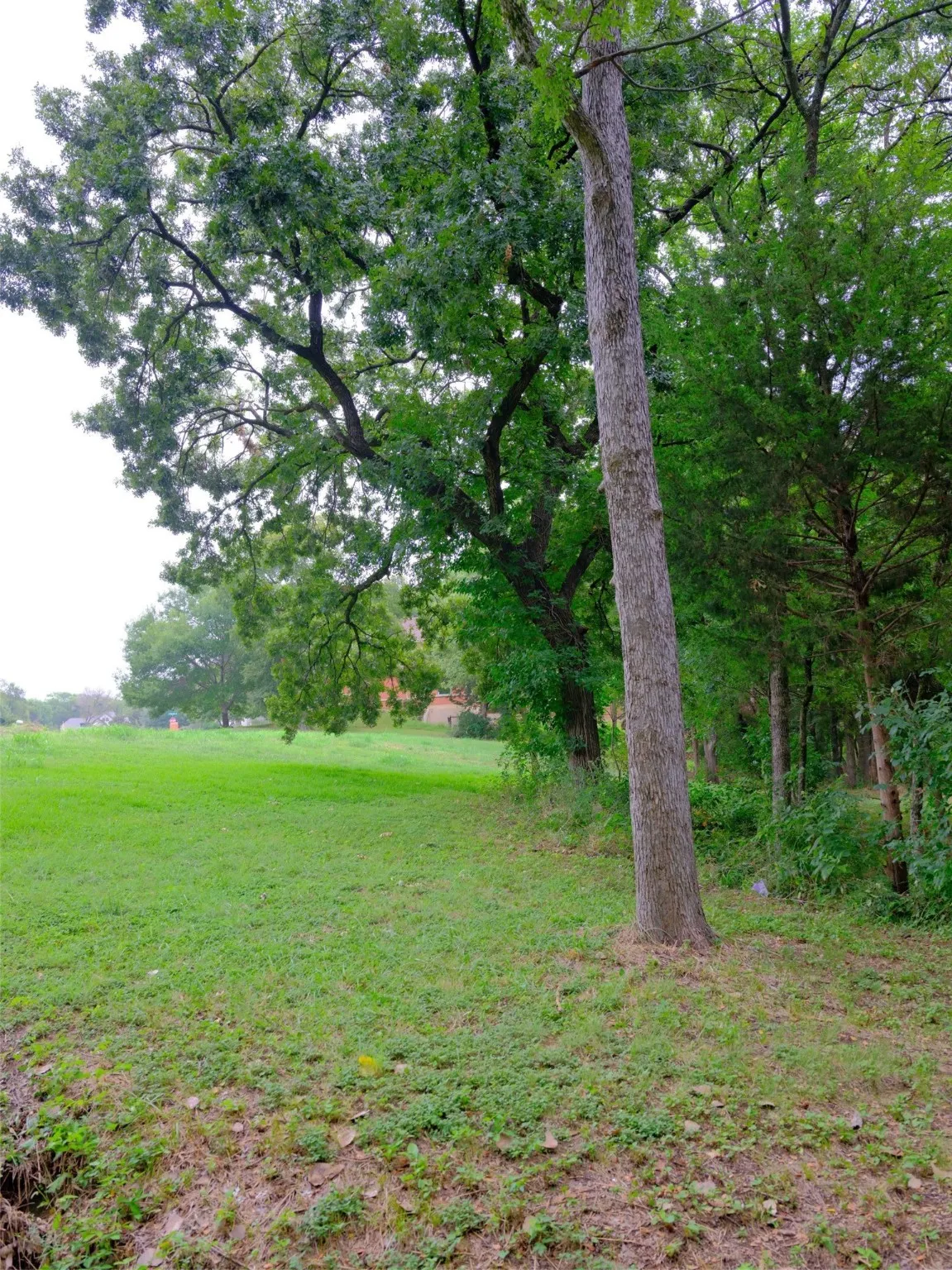 Unimproved Land For Sale in Ellis County , 2414 Summer Brook Court, Cedar Hill, Texas 75104, 0, 0, Garage spaces, 0 Sqft, built in 0, Price $148,000, mls#21048253, Real Estate Agent in Cedar Hill, Homes For Sale in Ellis county, Homes For Sale in Cedar Hill, Realtor in Cedar Hill Texas, Real Estate Brokerage Independent Realty Texas, Luminita Cordes Realtor