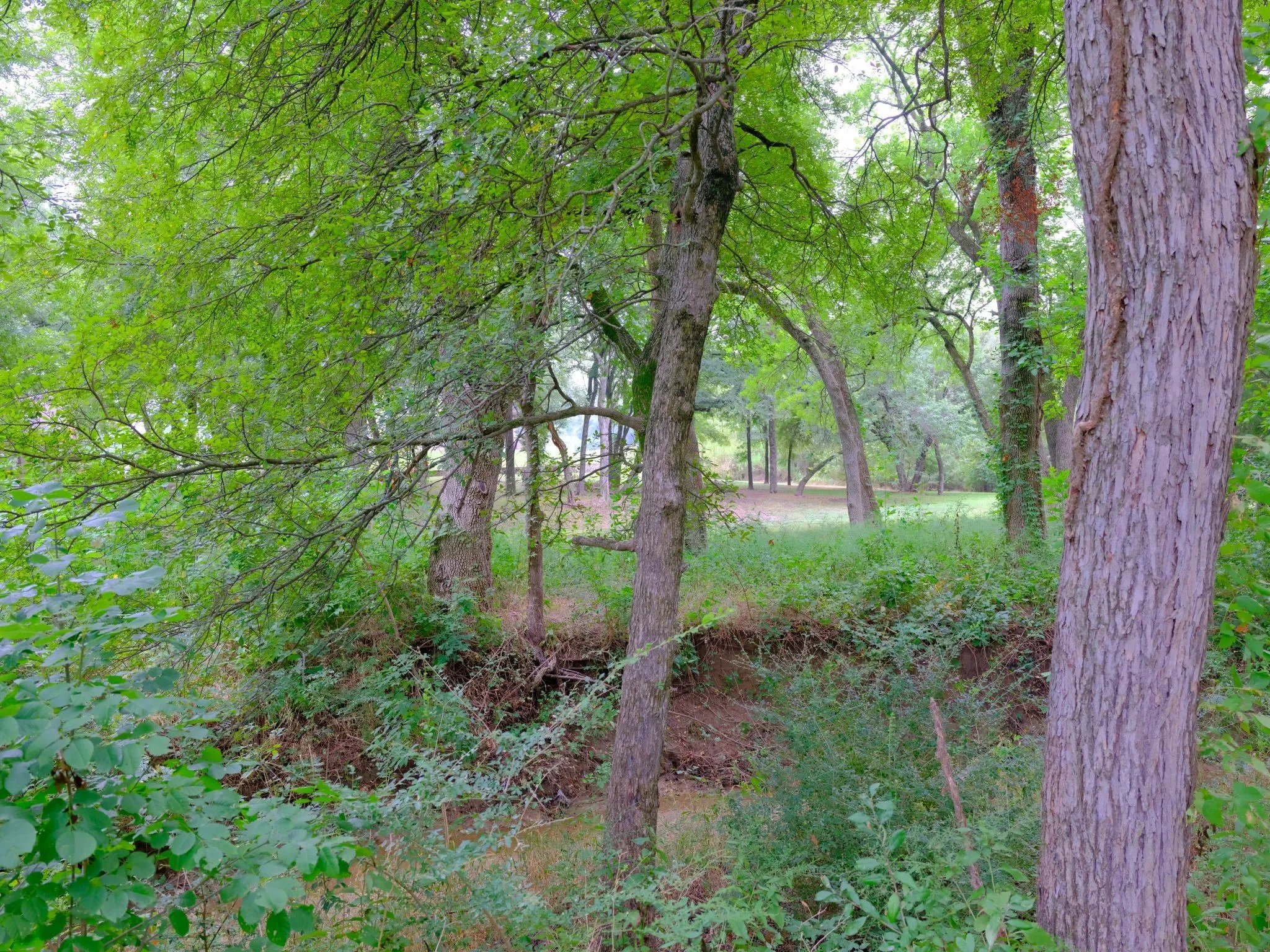Unimproved Land For Sale in Ellis County , 2414 Summer Brook Court, Cedar Hill, Texas 75104, 0, 0, Garage spaces, 0 Sqft, built in 0, Price $148,000, mls#21048253, Real Estate Agent in Cedar Hill, Homes For Sale in Ellis county, Homes For Sale in Cedar Hill, Realtor in Cedar Hill Texas, Real Estate Brokerage Independent Realty Texas, Luminita Cordes Realtor