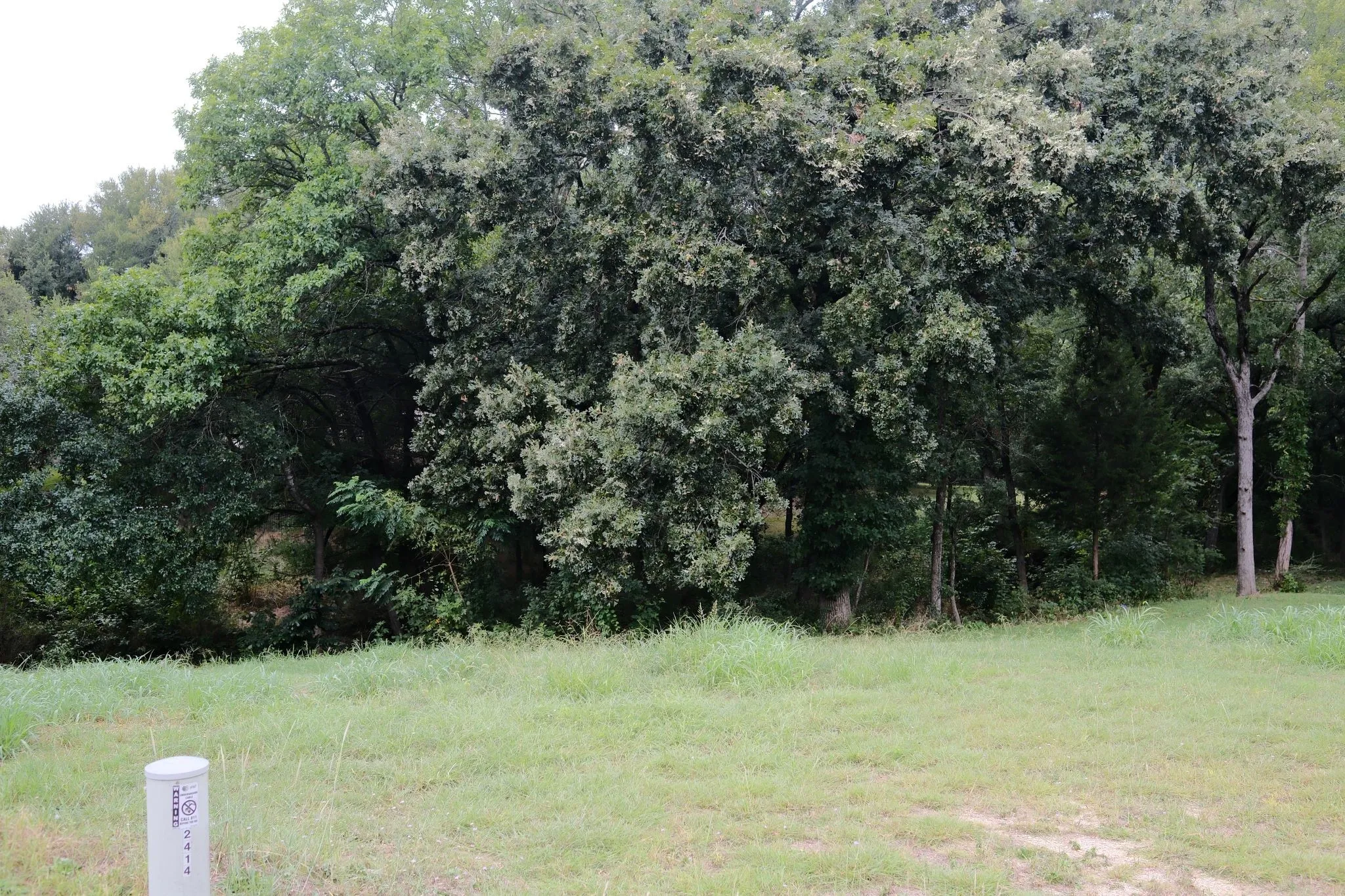 Unimproved Land For Sale in Ellis County , 2414 Summer Brook Court, Cedar Hill, Texas 75104, 0, 0, Garage spaces, 0 Sqft, built in 0, Price $148,000, mls#21048253, Real Estate Agent in Cedar Hill, Homes For Sale in Ellis county, Homes For Sale in Cedar Hill, Realtor in Cedar Hill Texas, Real Estate Brokerage Independent Realty Texas, Luminita Cordes Realtor