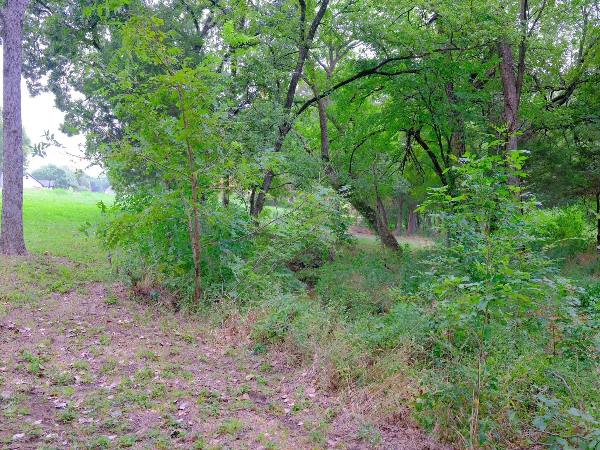 Unimproved Land For Sale in Ellis County , 2414 Summer Brook Court, Cedar Hill, Texas 75104, 0, 0, Garage spaces, 0 Sqft, built in 0, Price $148,000, mls#21048253, Real Estate Agent in Cedar Hill, Homes For Sale in Ellis county, Homes For Sale in Cedar Hill, Realtor in Cedar Hill Texas, Real Estate Brokerage Independent Realty Texas, Luminita Cordes Realtor