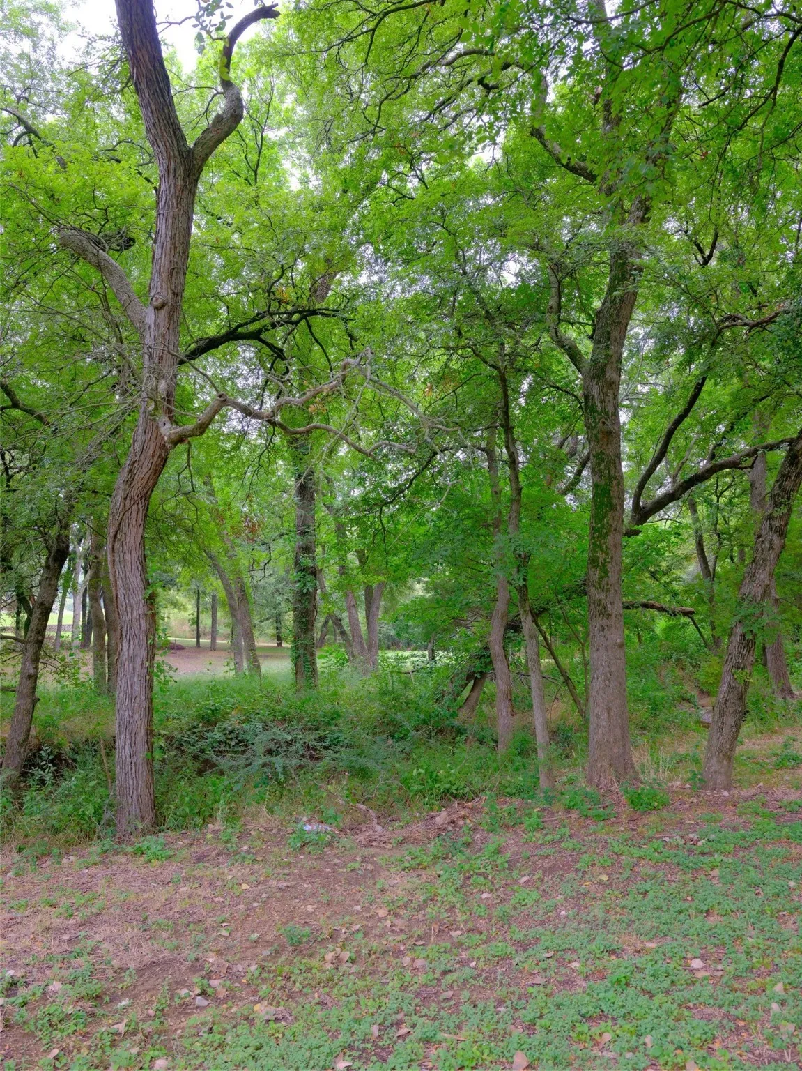 Unimproved Land For Sale in Ellis County , 2414 Summer Brook Court, Cedar Hill, Texas 75104, 0, 0, Garage spaces, 0 Sqft, built in 0, Price $148,000, mls#21048253, Real Estate Agent in Cedar Hill, Homes For Sale in Ellis county, Homes For Sale in Cedar Hill, Realtor in Cedar Hill Texas, Real Estate Brokerage Independent Realty Texas, Luminita Cordes Realtor
