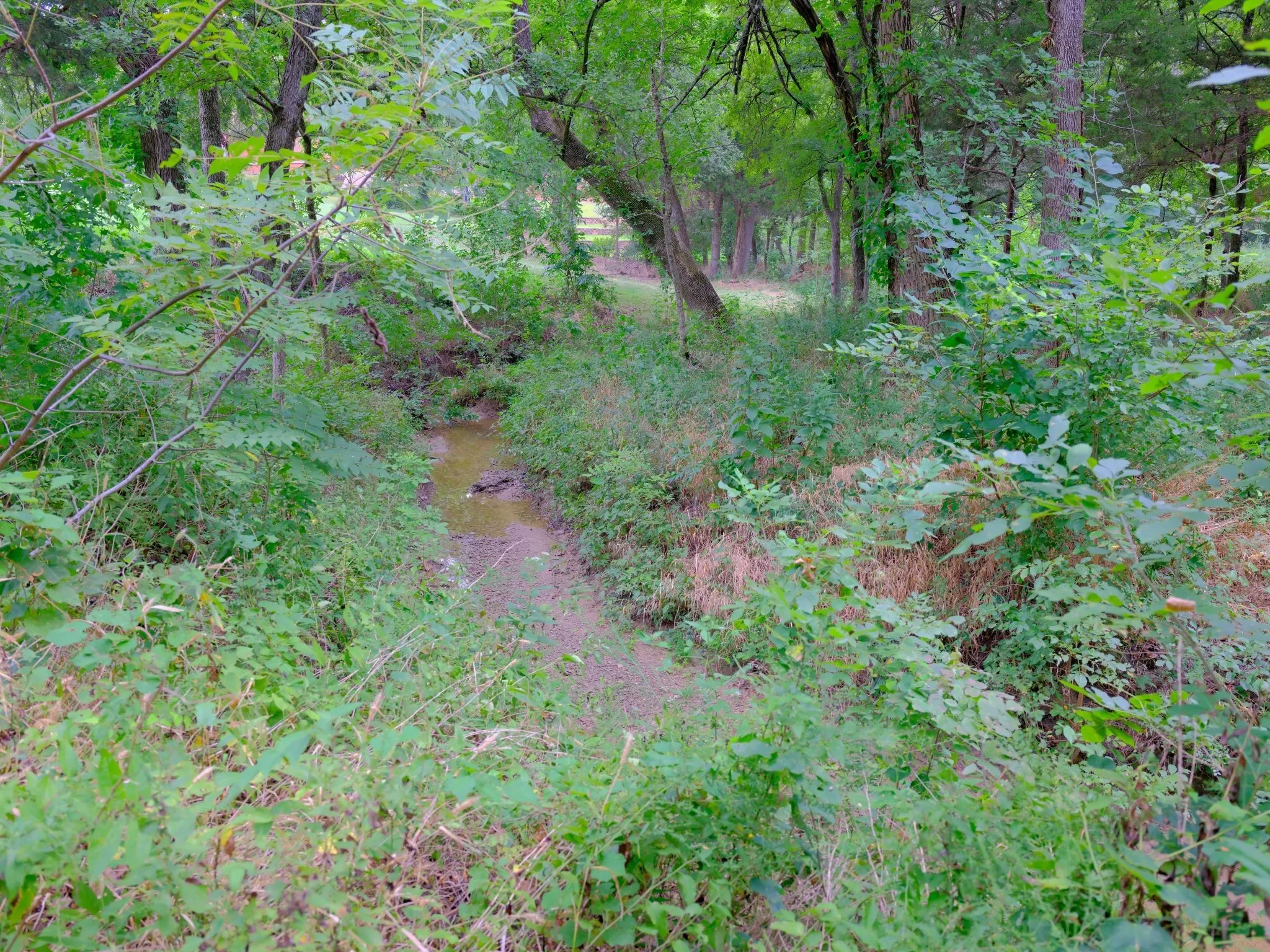 Unimproved Land For Sale in Ellis County , 2414 Summer Brook Court, Cedar Hill, Texas 75104, 0, 0, Garage spaces, 0 Sqft, built in 0, Price $148,000, mls#21048253, Real Estate Agent in Cedar Hill, Homes For Sale in Ellis county, Homes For Sale in Cedar Hill, Realtor in Cedar Hill Texas, Real Estate Brokerage Independent Realty Texas, Luminita Cordes Realtor