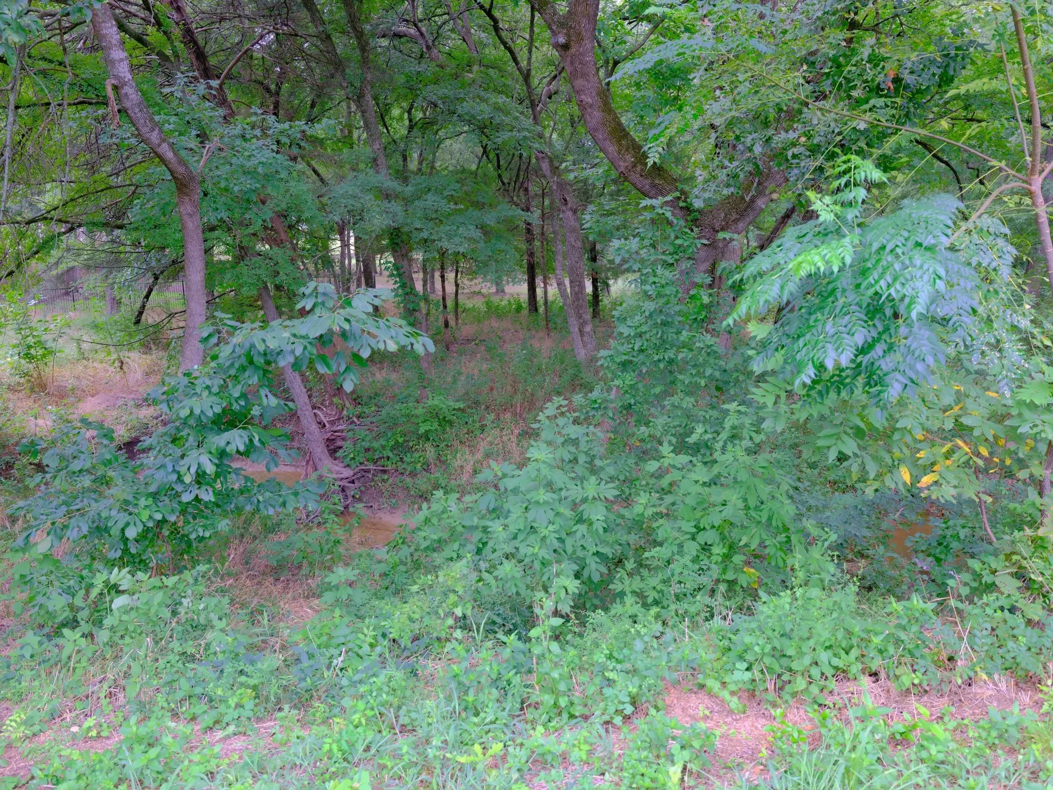 Unimproved Land For Sale in Ellis County , 2414 Summer Brook Court, Cedar Hill, Texas 75104, 0, 0, Garage spaces, 0 Sqft, built in 0, Price $148,000, mls#21048253, Real Estate Agent in Cedar Hill, Homes For Sale in Ellis county, Homes For Sale in Cedar Hill, Realtor in Cedar Hill Texas, Real Estate Brokerage Independent Realty Texas, Luminita Cordes Realtor